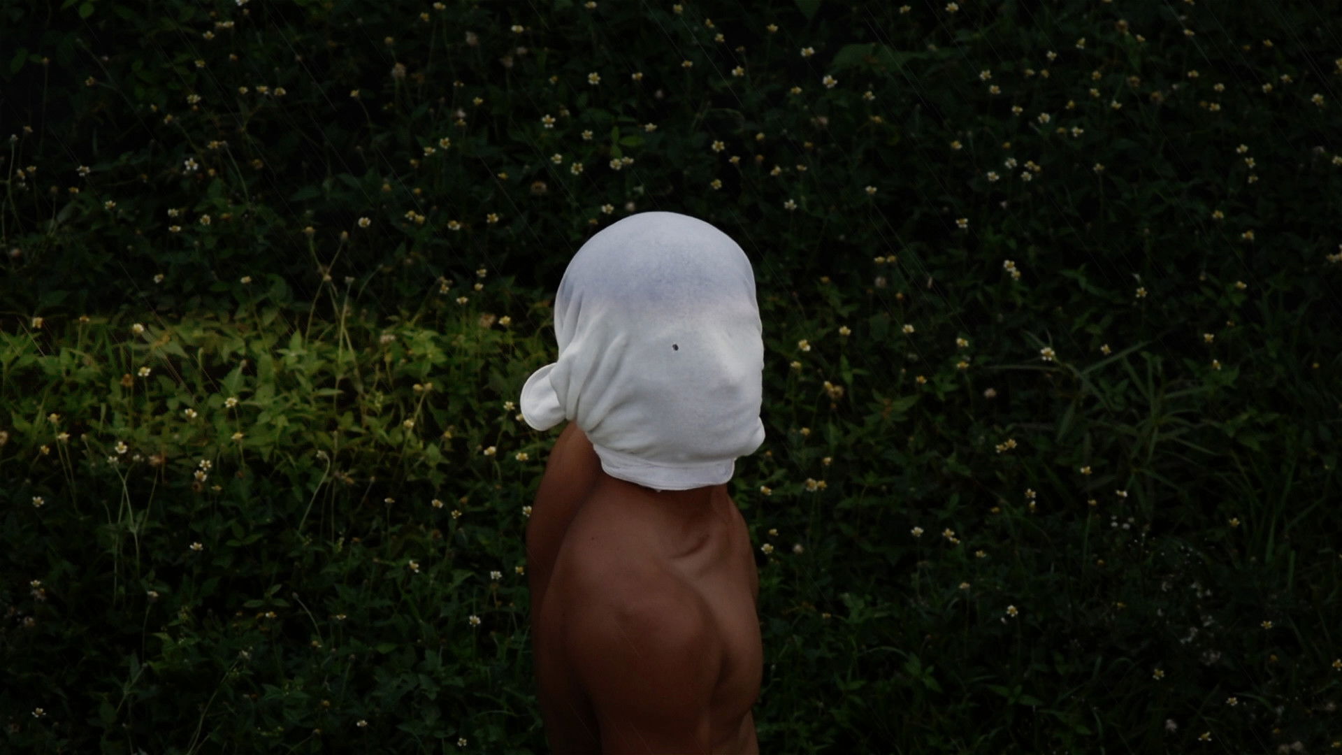 Backdrop for Los Hijos del Silencio