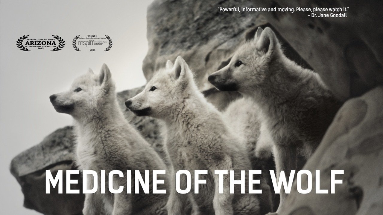 Backdrop for Medicine of the Wolf
