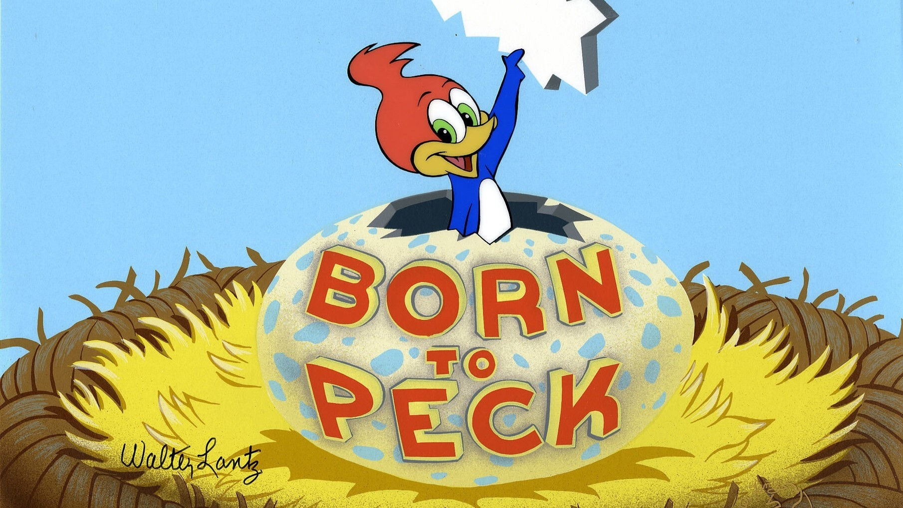 Backdrop for Born to Peck