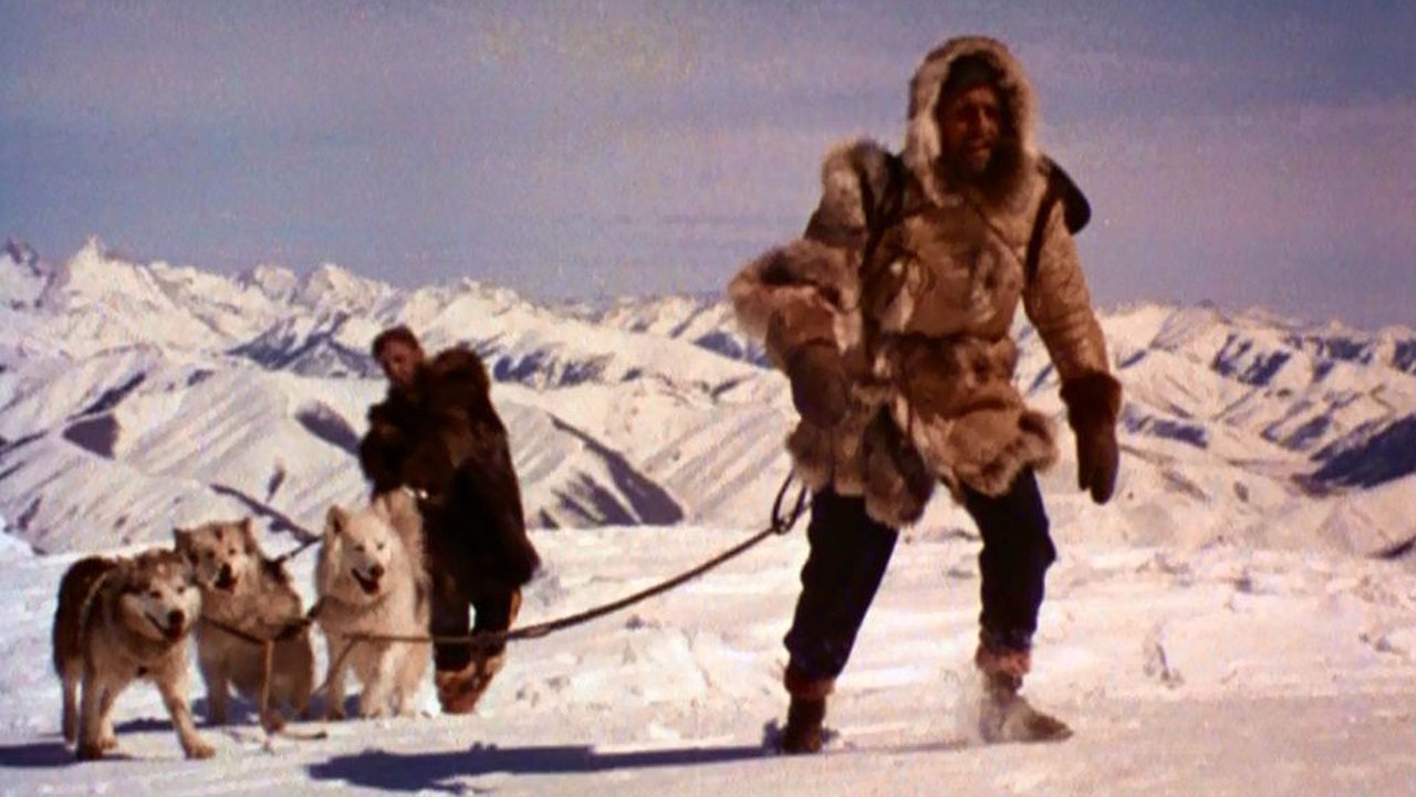 Backdrop for The Wild North