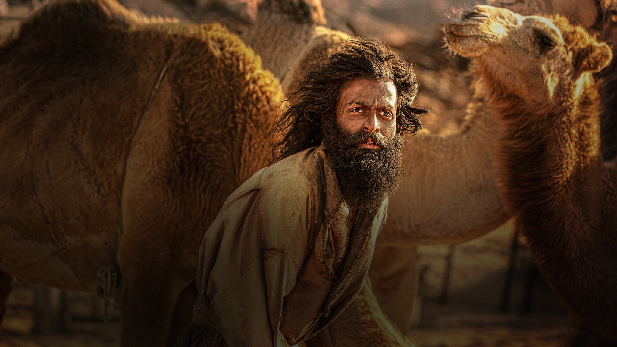 Backdrop for The Goat Life