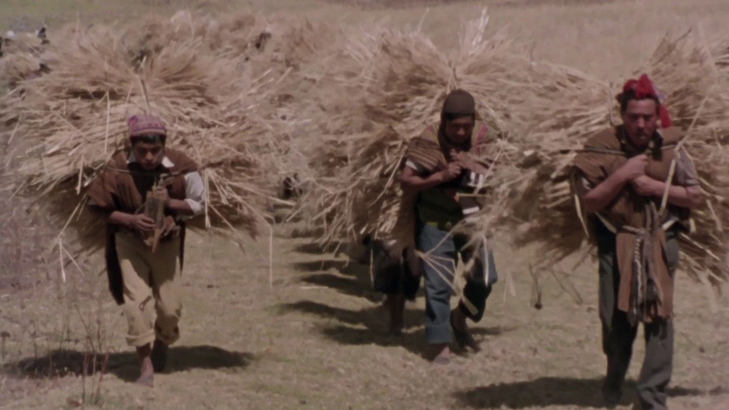 Backdrop for Child of the Andes