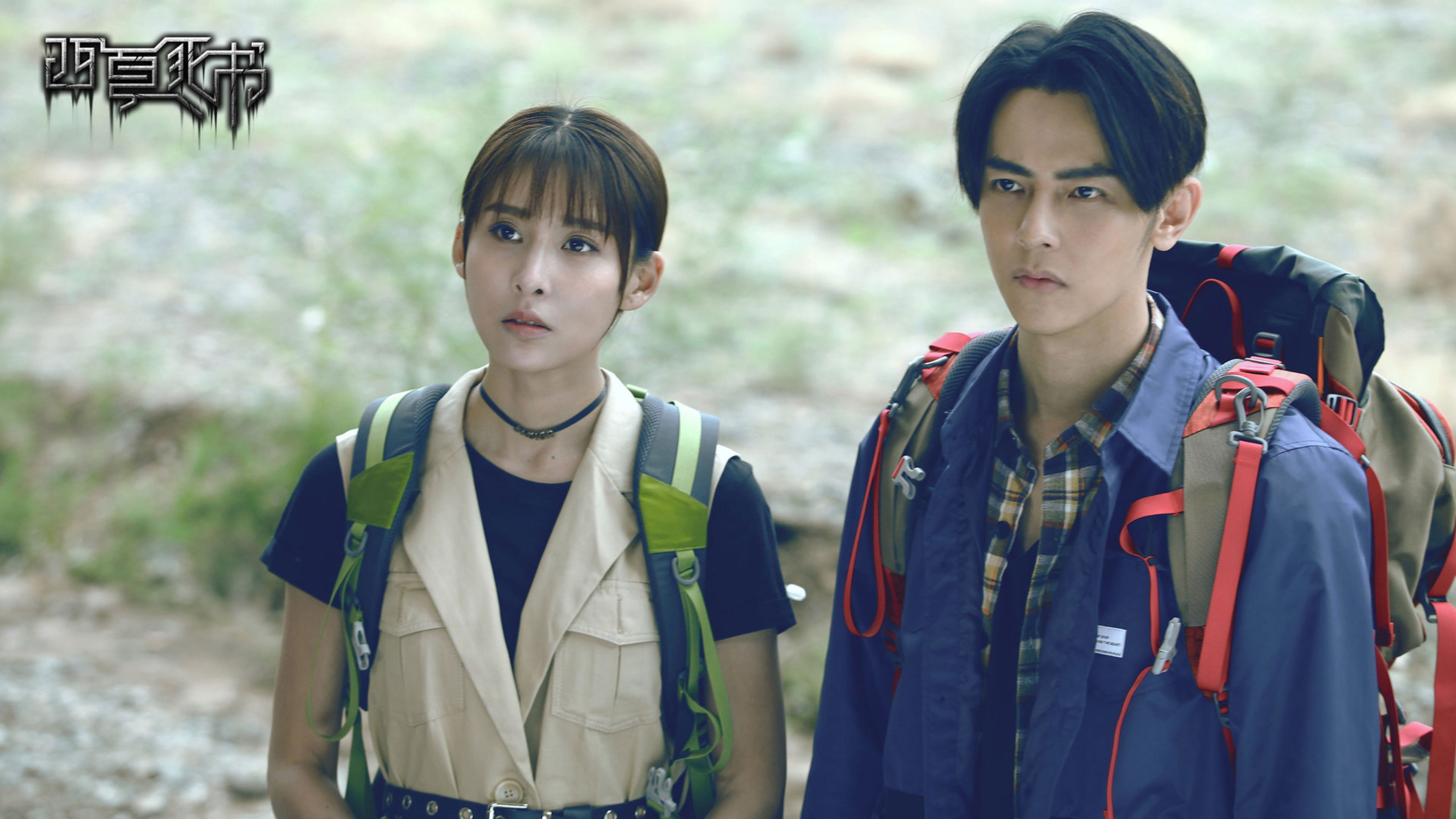 Backdrop for 西夏死书