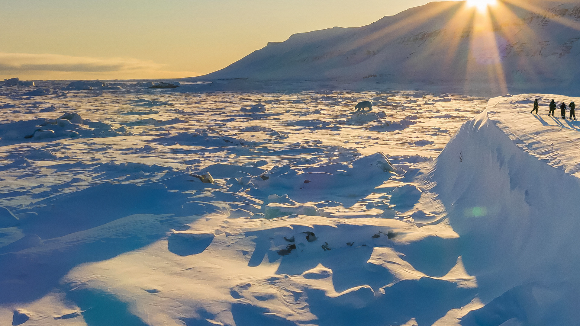 Backdrop for Bear Witness