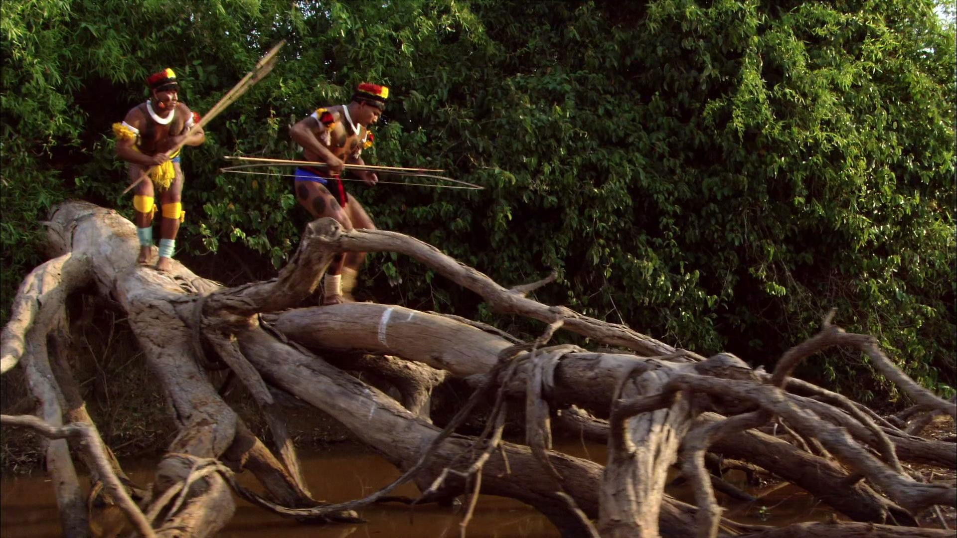 Backdrop for Amazon Forever