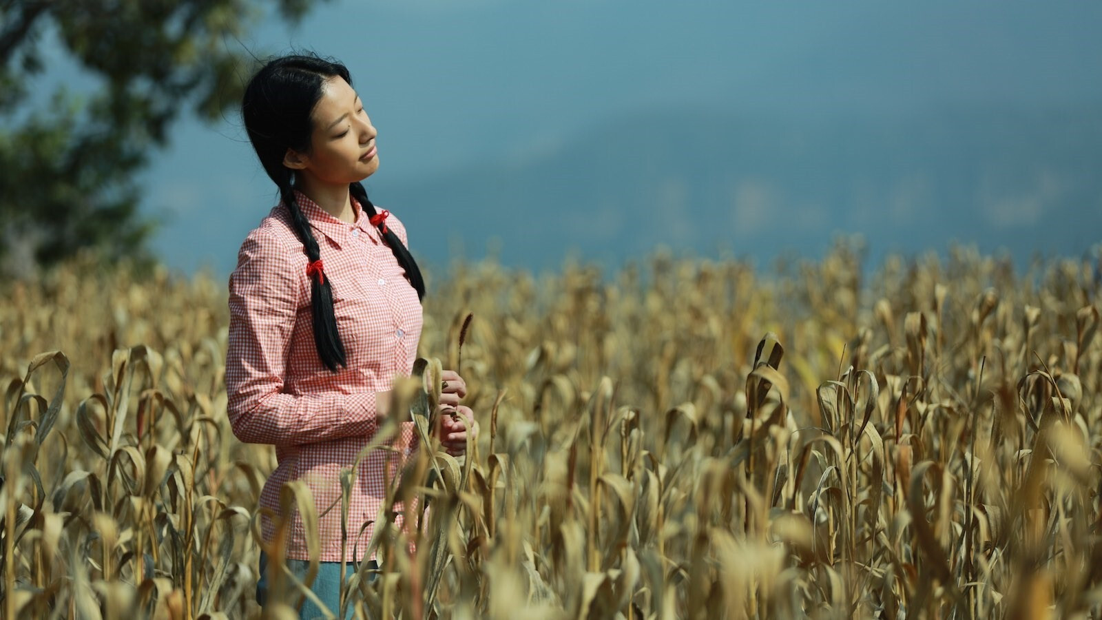 Backdrop for Mountain Cry