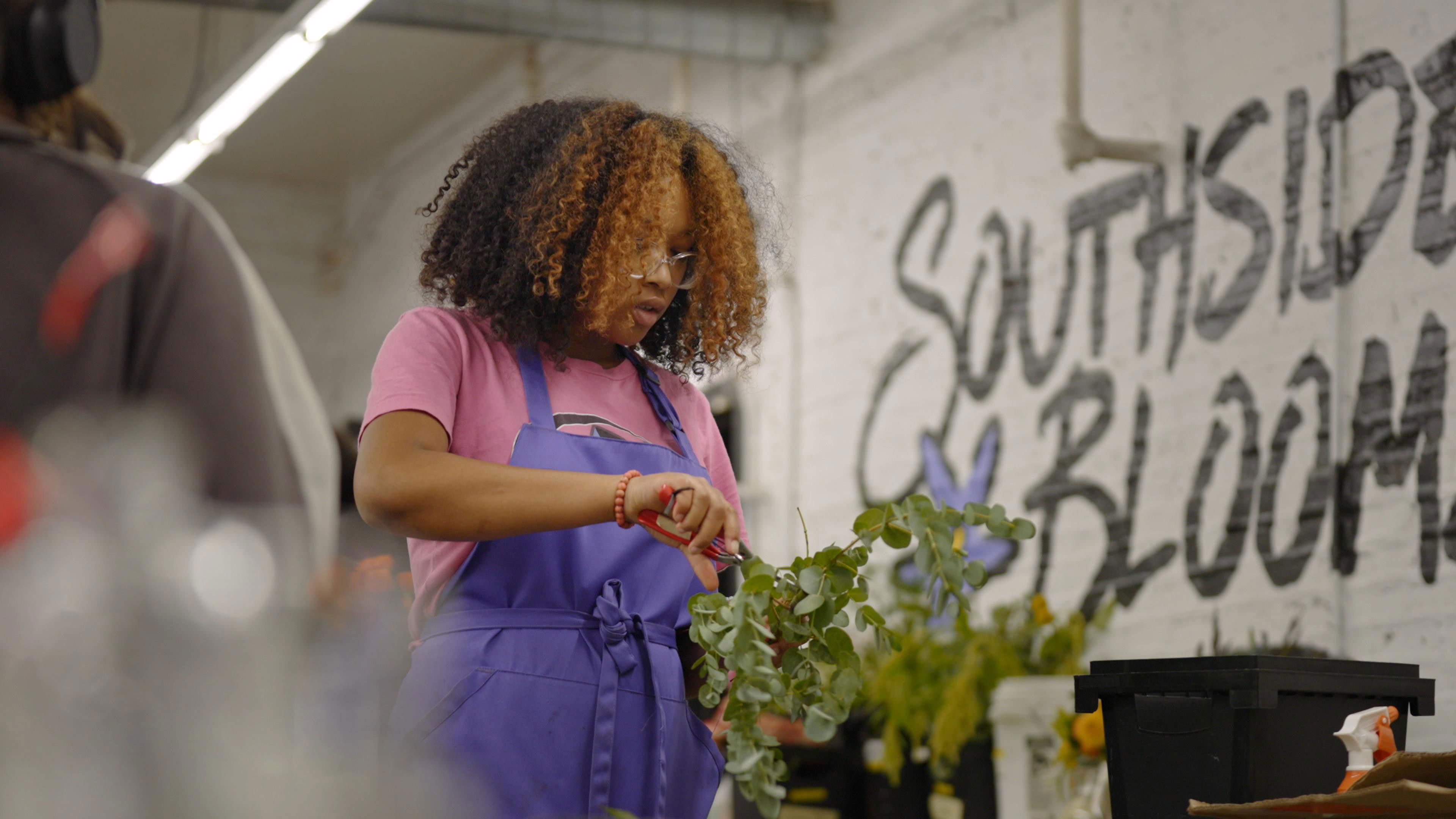 Backdrop for In Our Nature