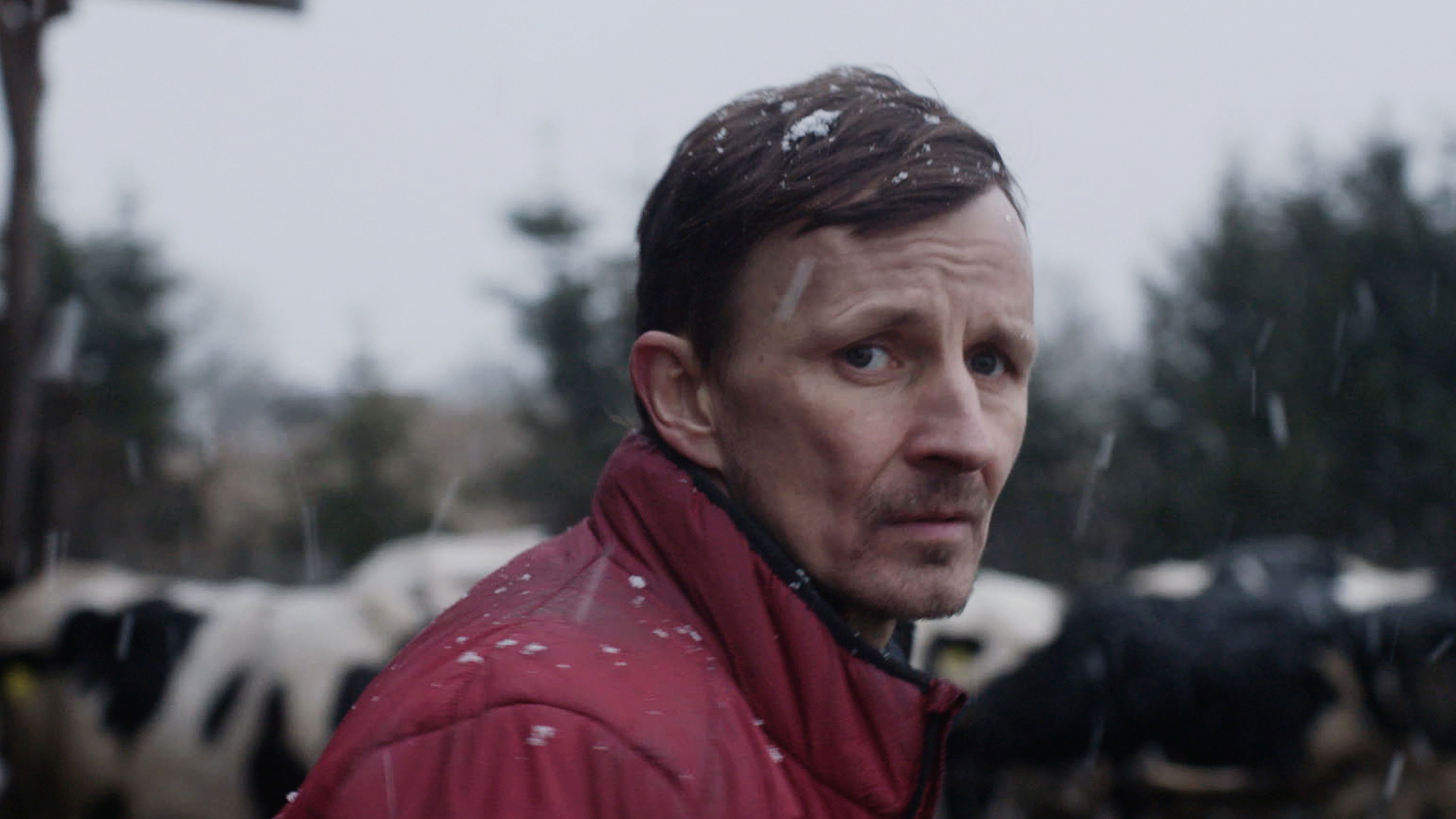 Backdrop for Next to Nothing