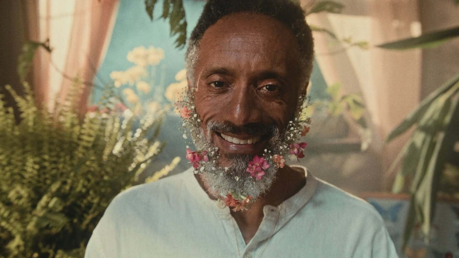 Backdrop for The Gentle Flutter of the Butterflies