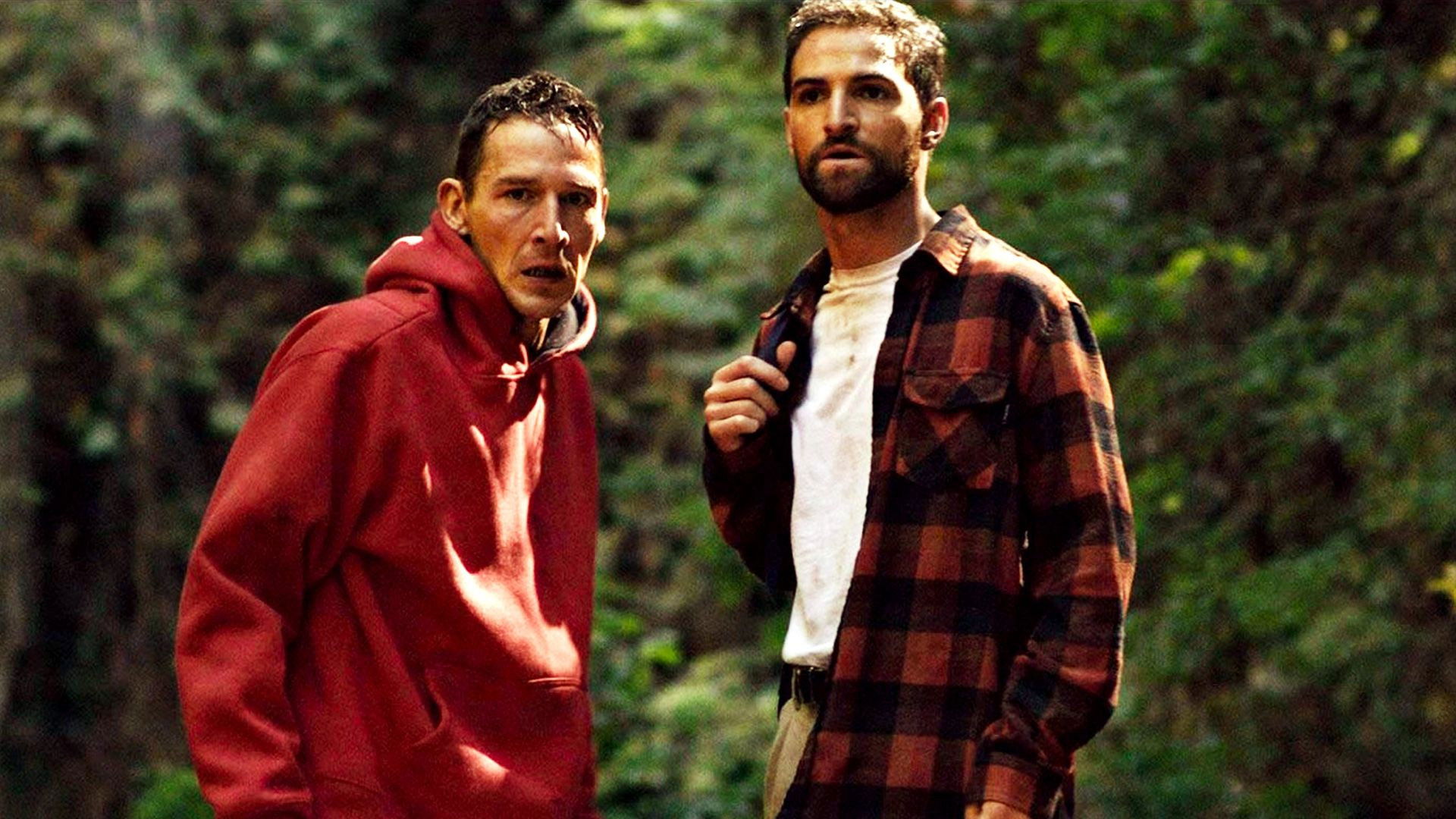 Backdrop for Devil's Path