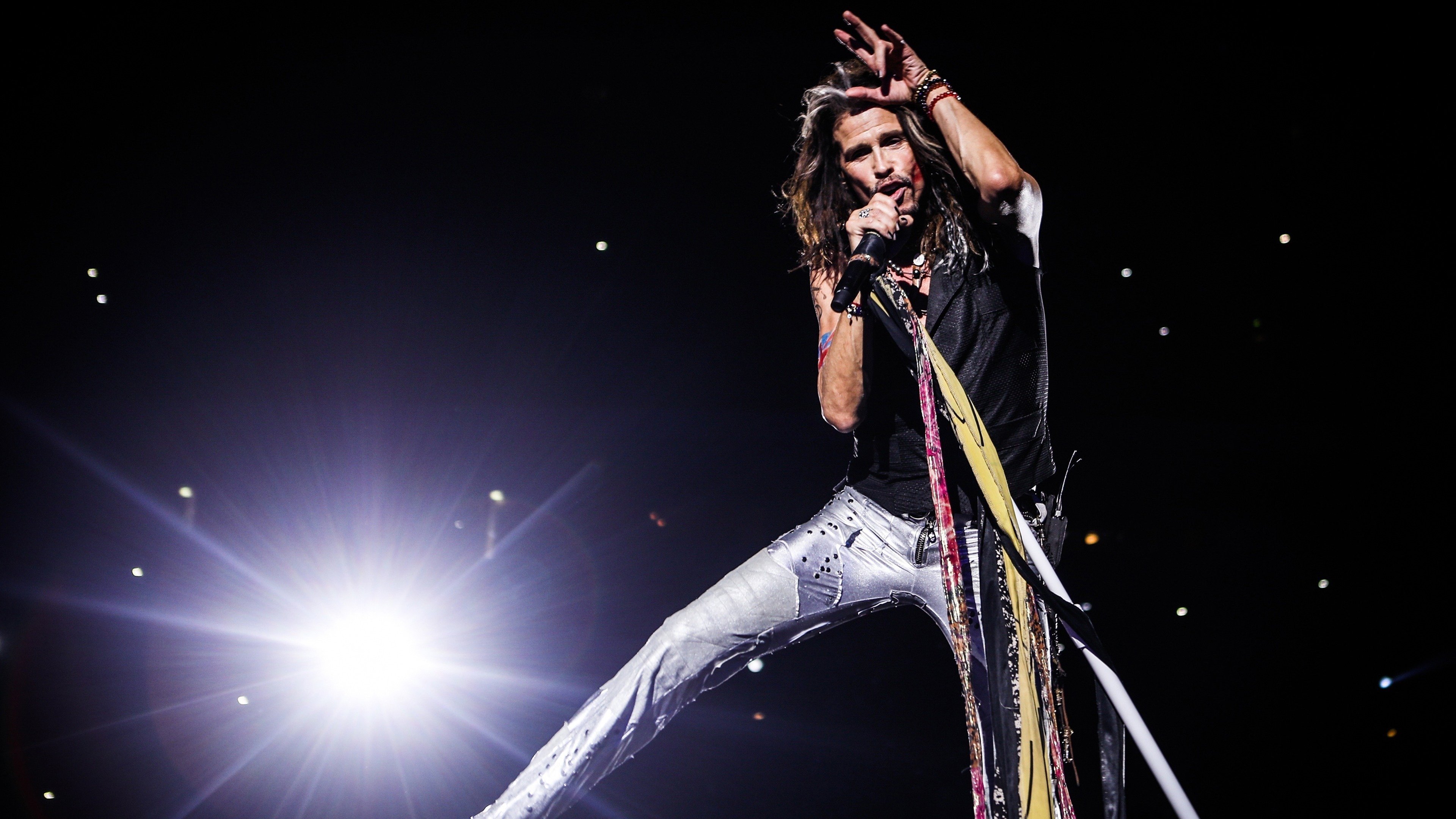 Backdrop for Steven Tyler: Out on a Limb