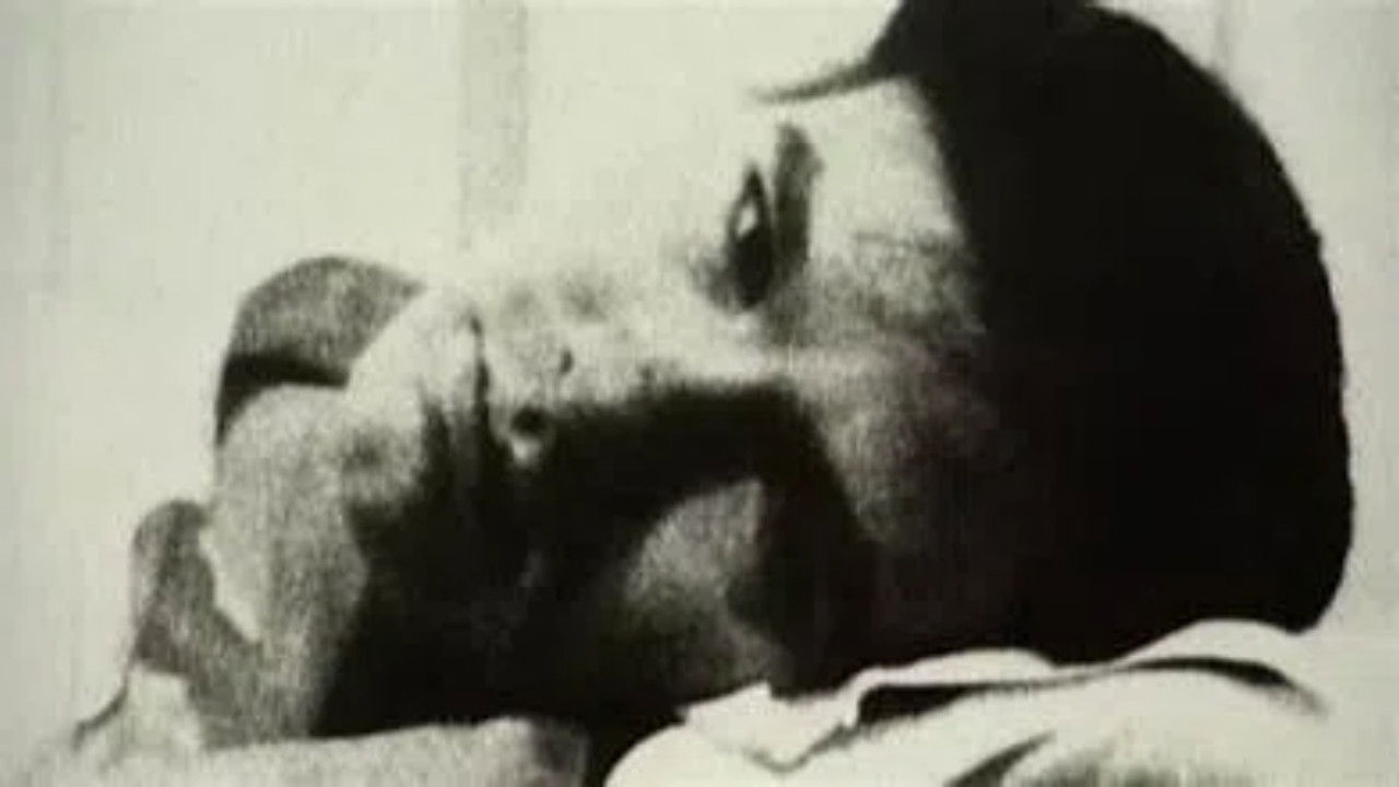 Backdrop for Vies et morts d'Andy Warhol