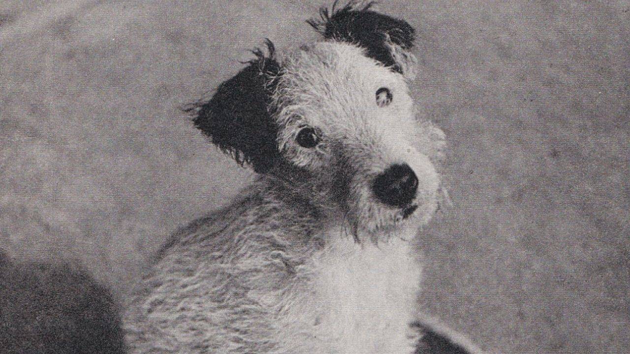 Backdrop for Dášeňka