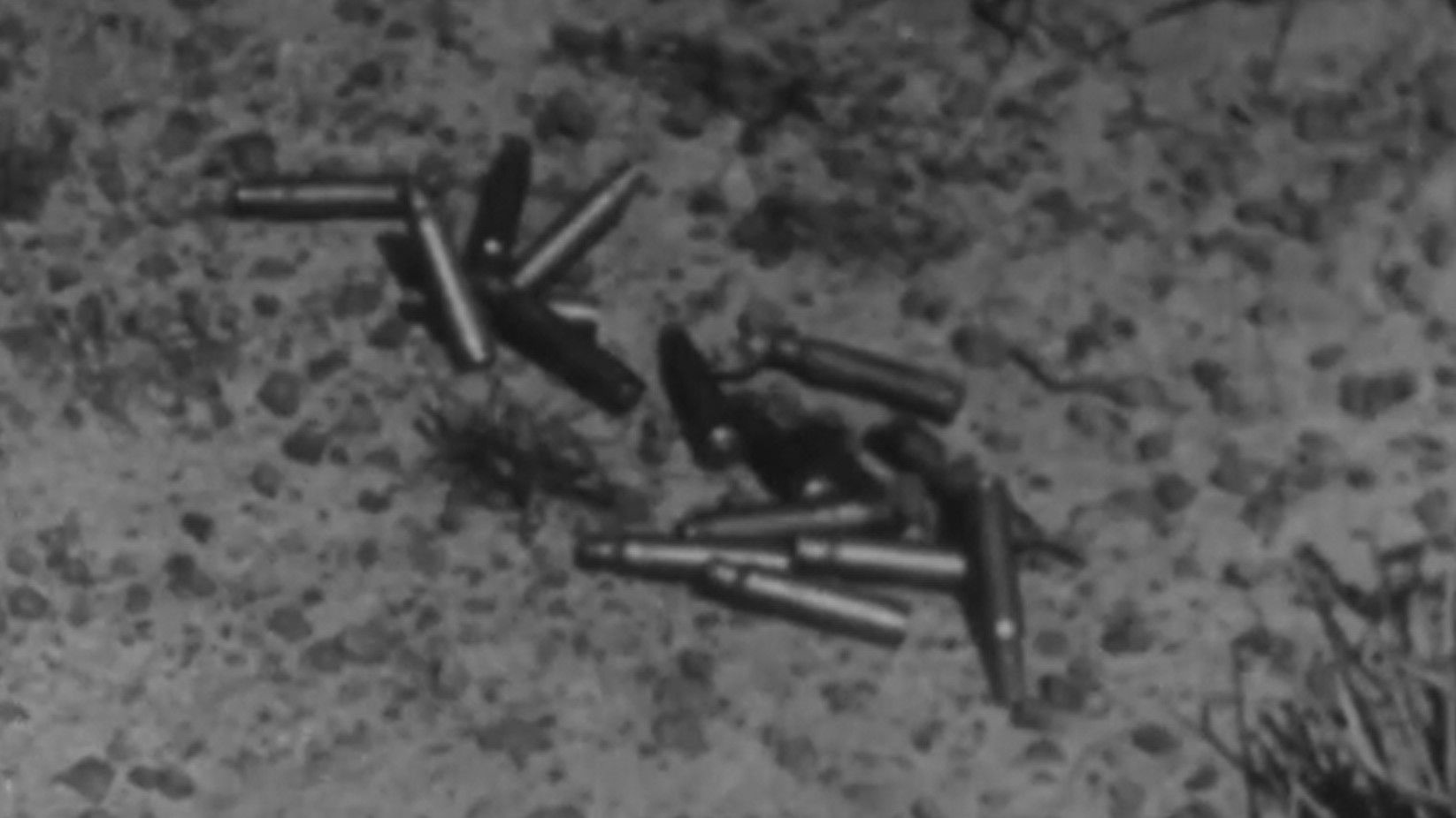 Backdrop for Afrique 50