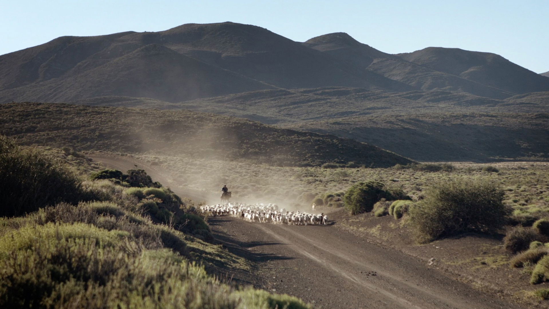 Backdrop for Escuela trashumante