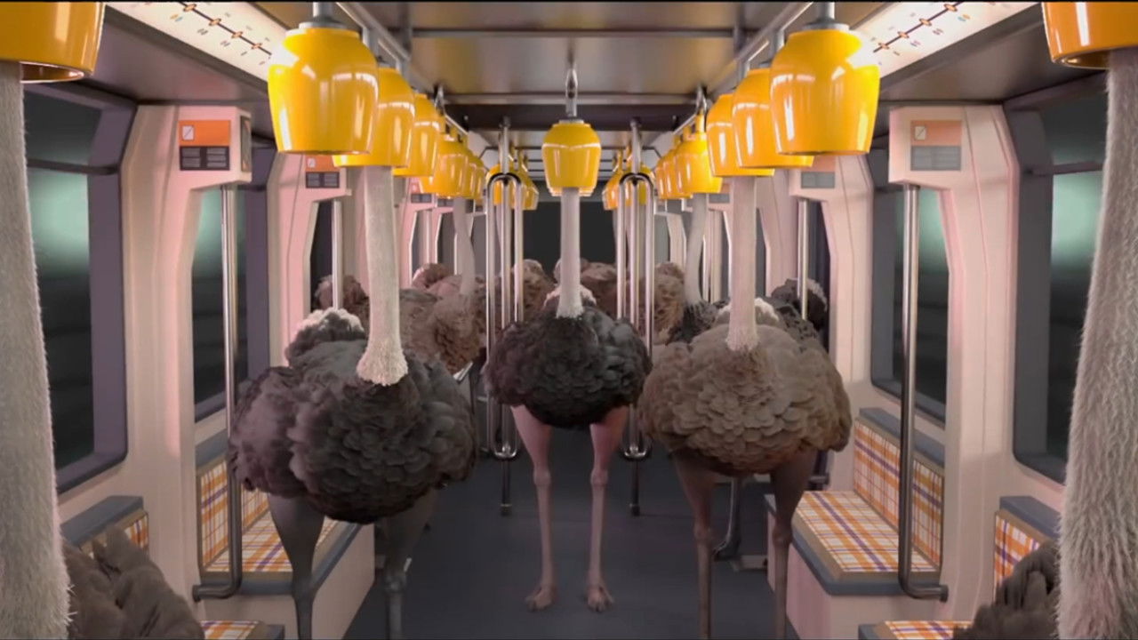 Backdrop for Ostrich Politic