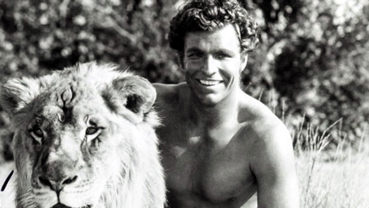 Backdrop for Tarzan the Fearless