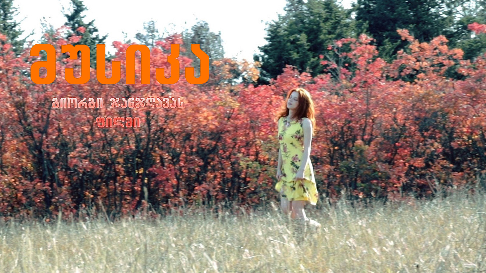 Backdrop for The Music