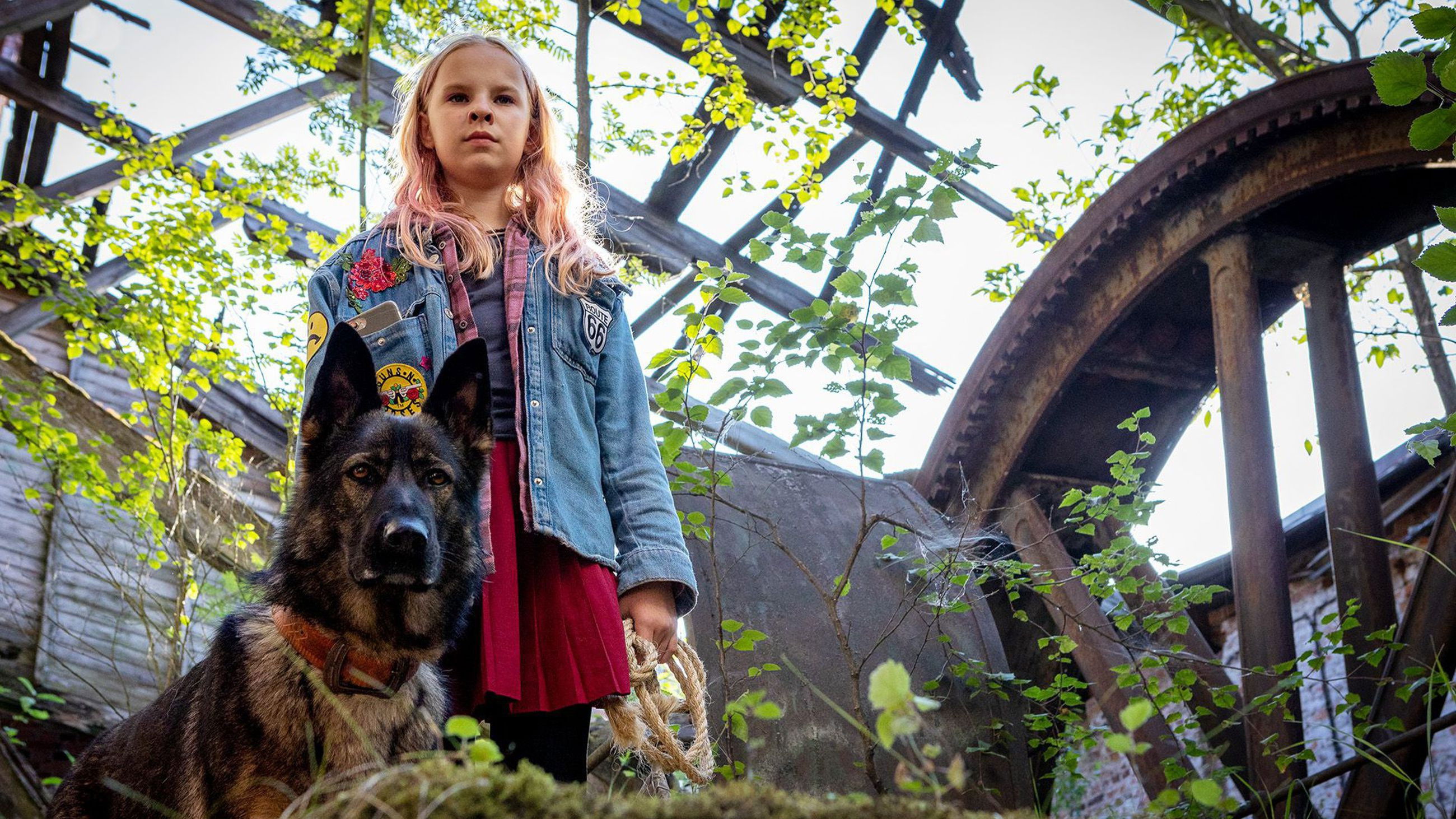 Backdrop for Susikoira Roi