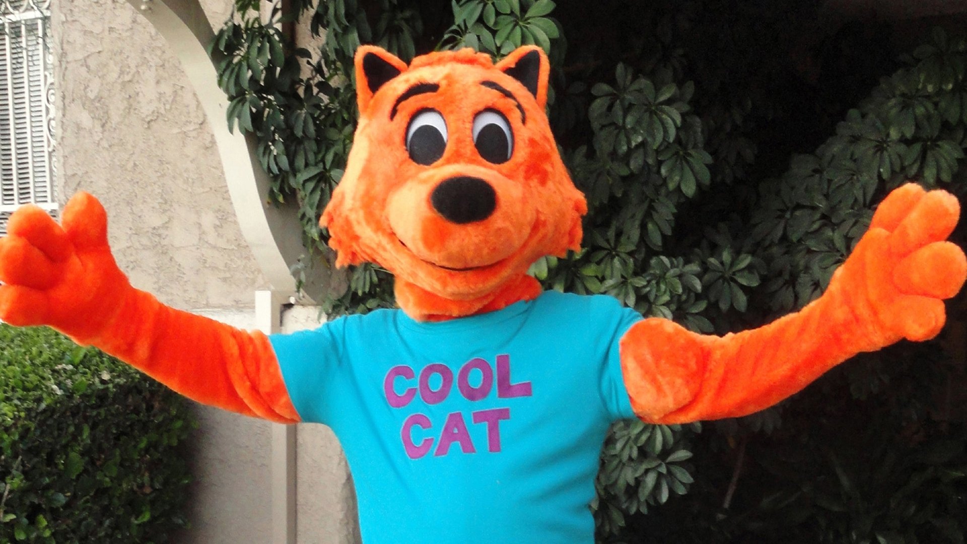 Backdrop for Cool Cat Saves the Kids