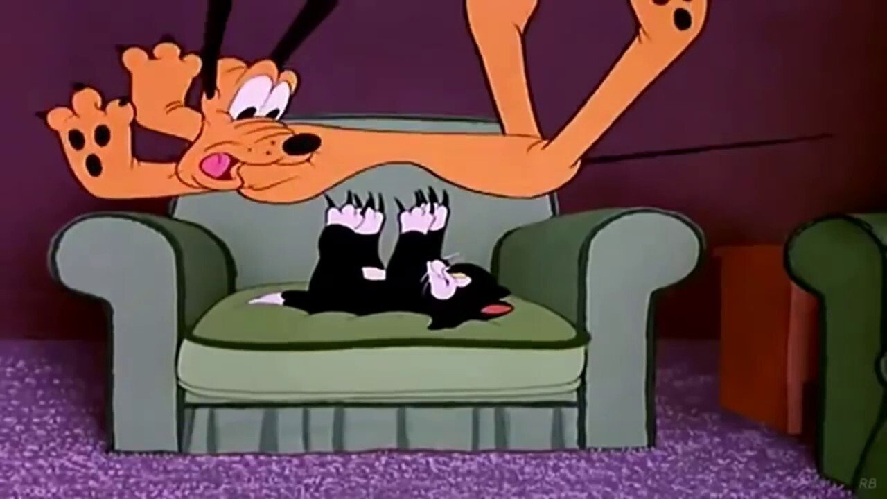 Backdrop for Cat Nap Pluto