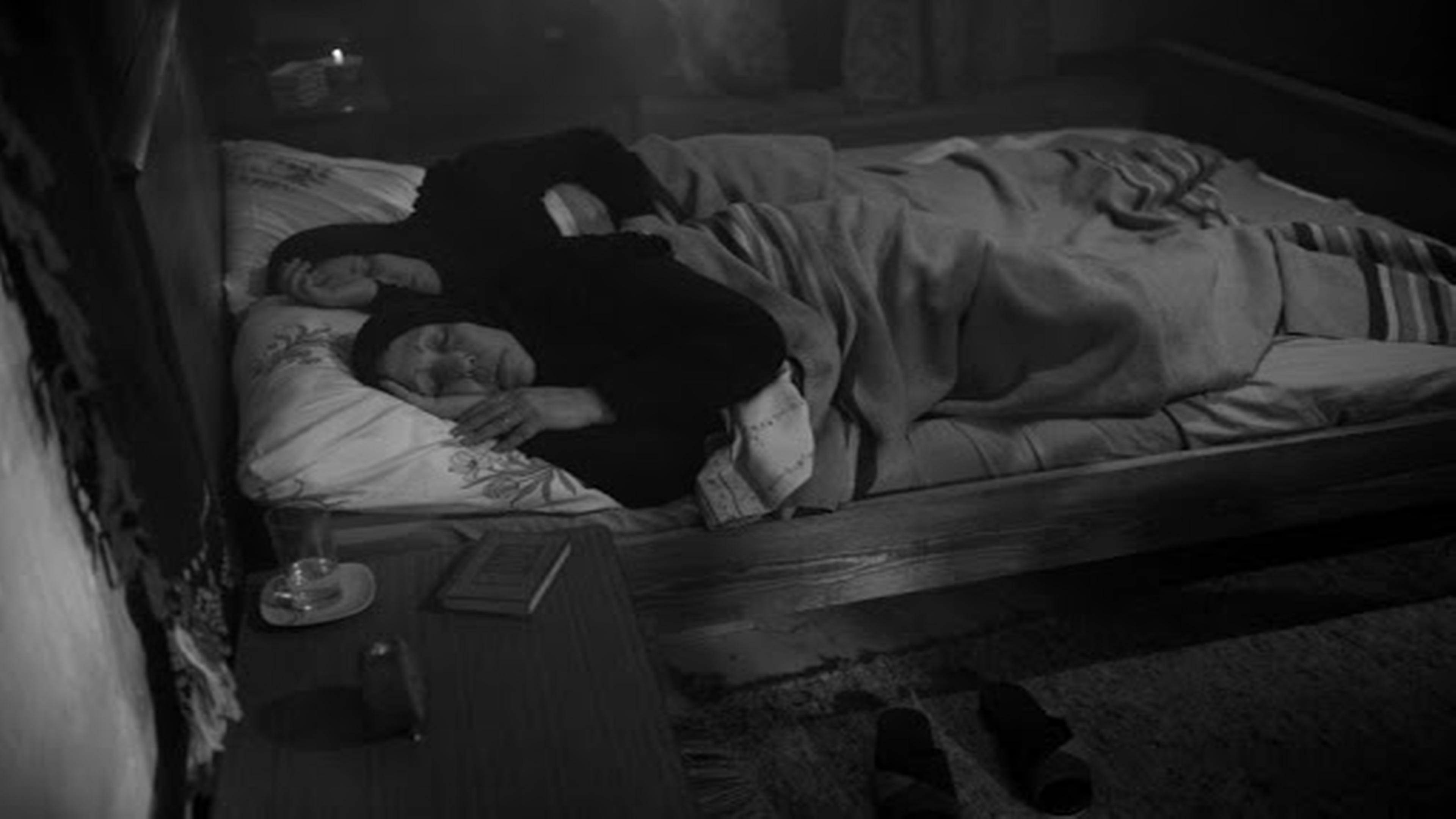 Backdrop for Boubarnous (Elboutellis)