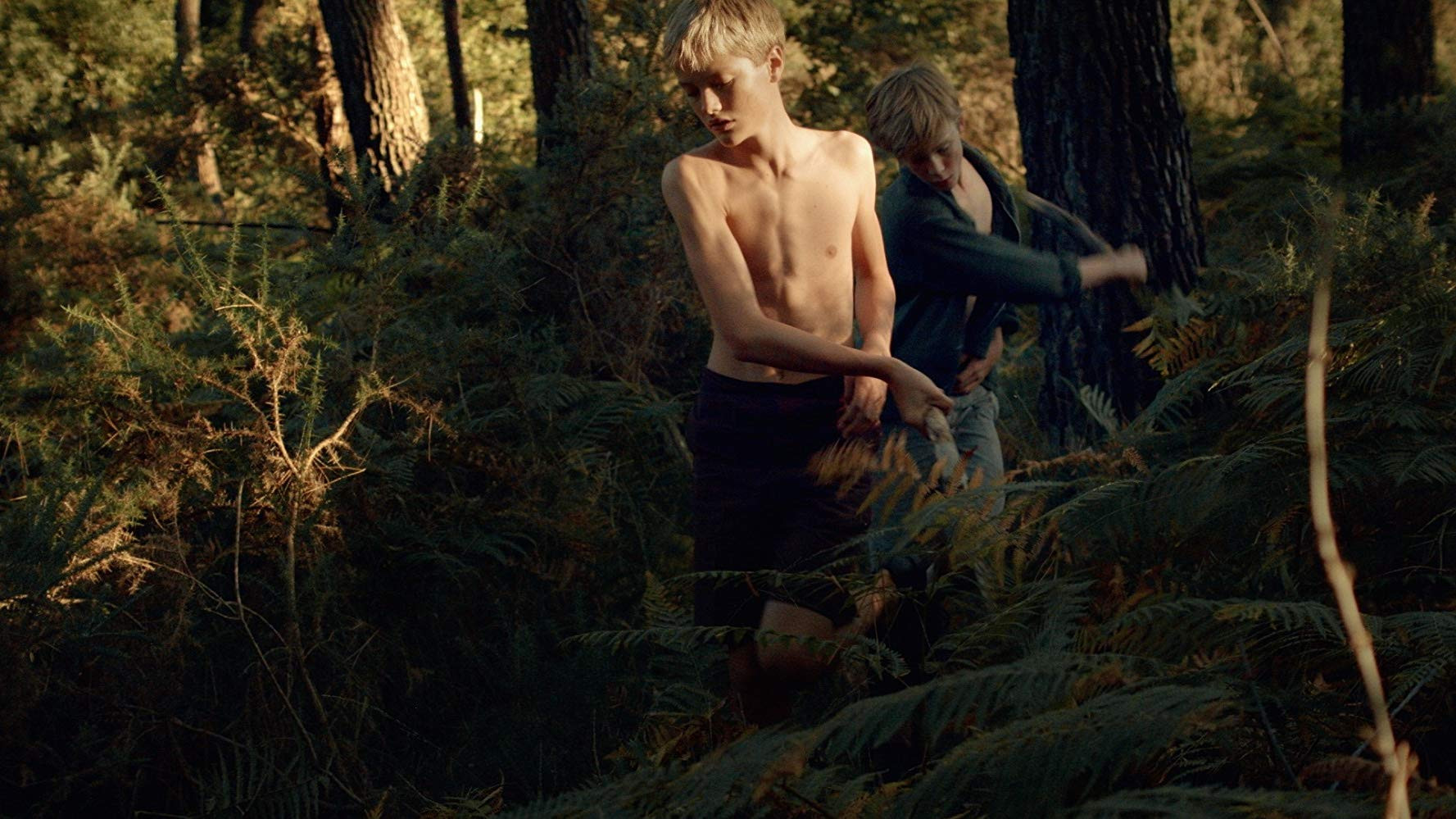 Backdrop for Escape Into the Wild