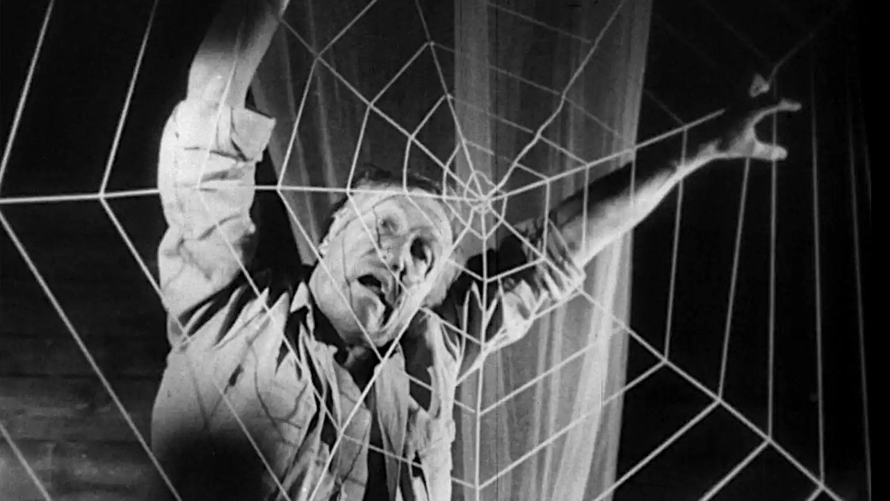 Backdrop for Horrors of Spider Island