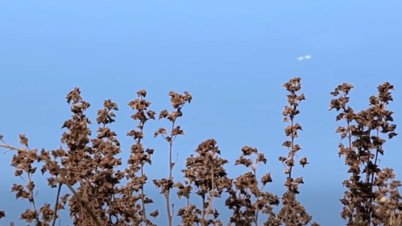 Backdrop for Daivaar