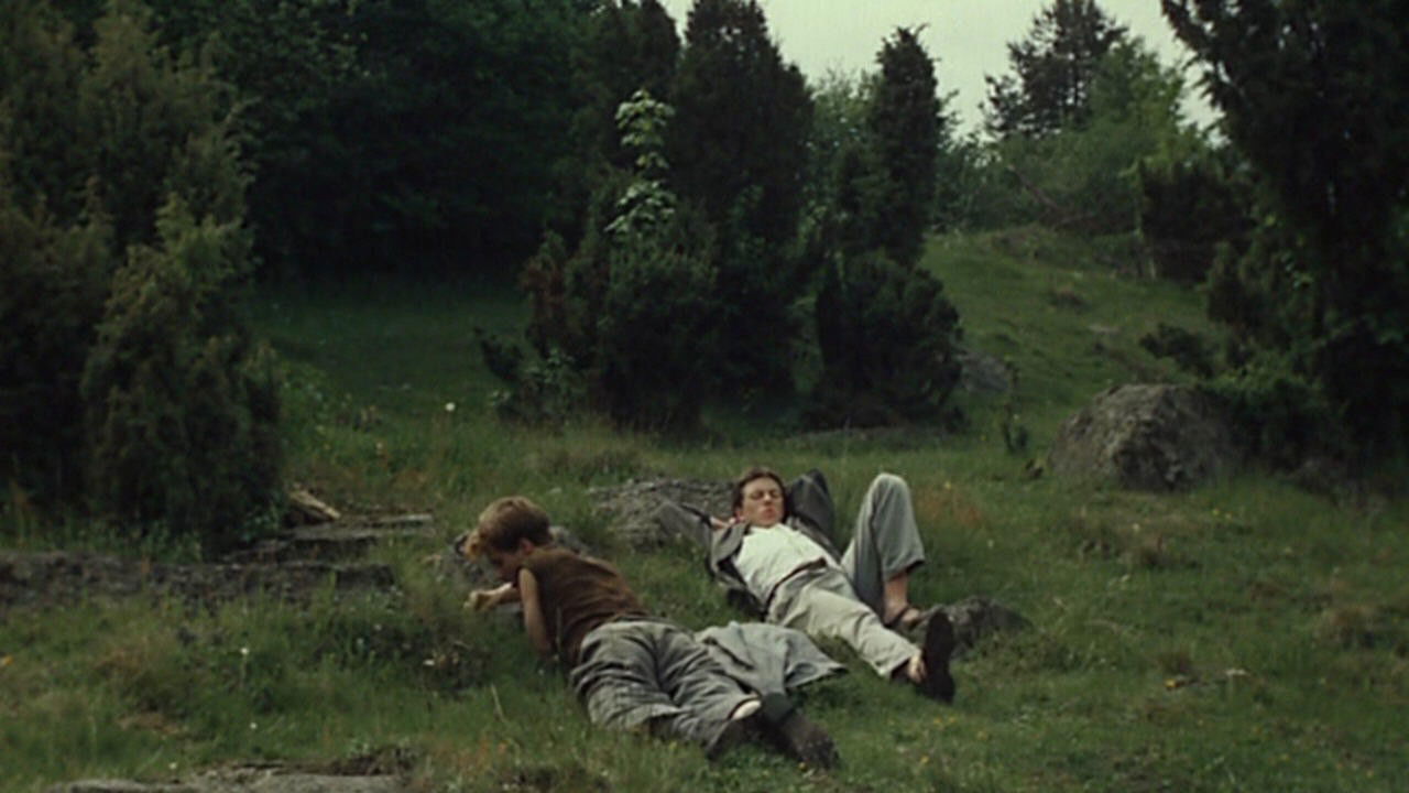 Backdrop for Shades of Fern