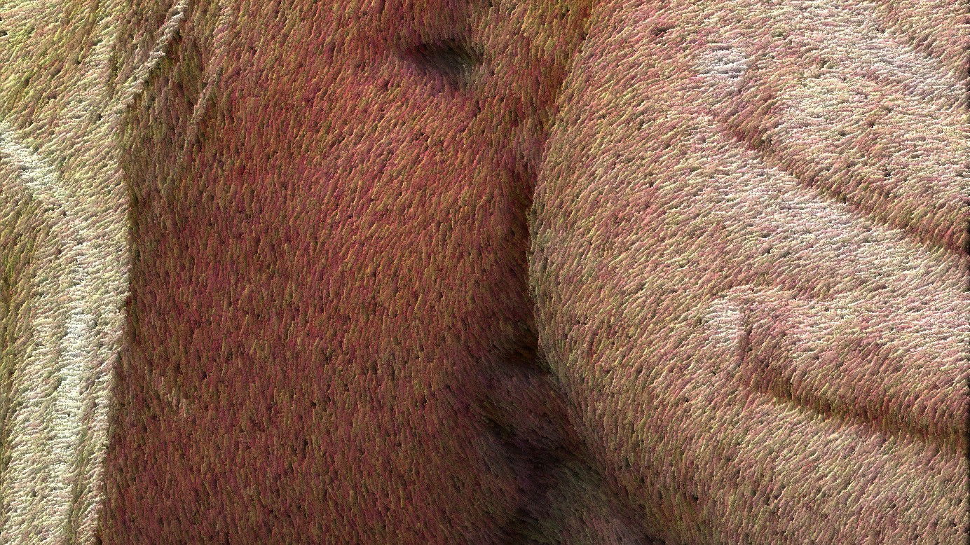 Backdrop for Rough Sex 2