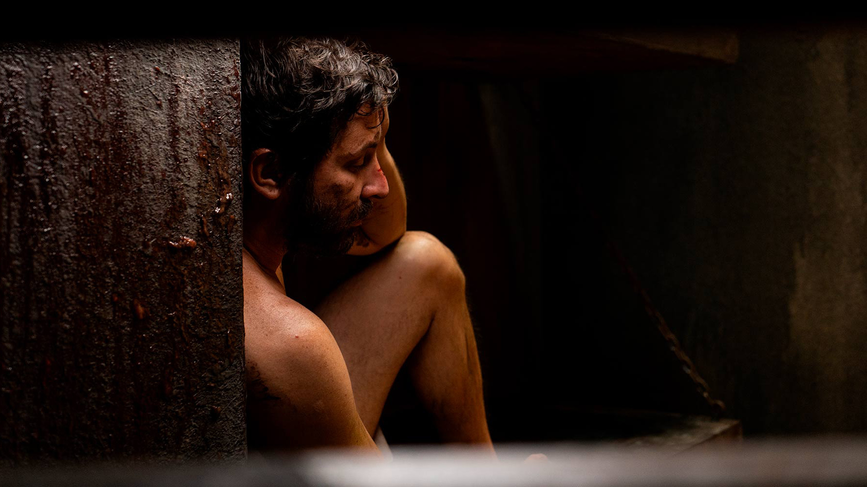 Backdrop for Plantados