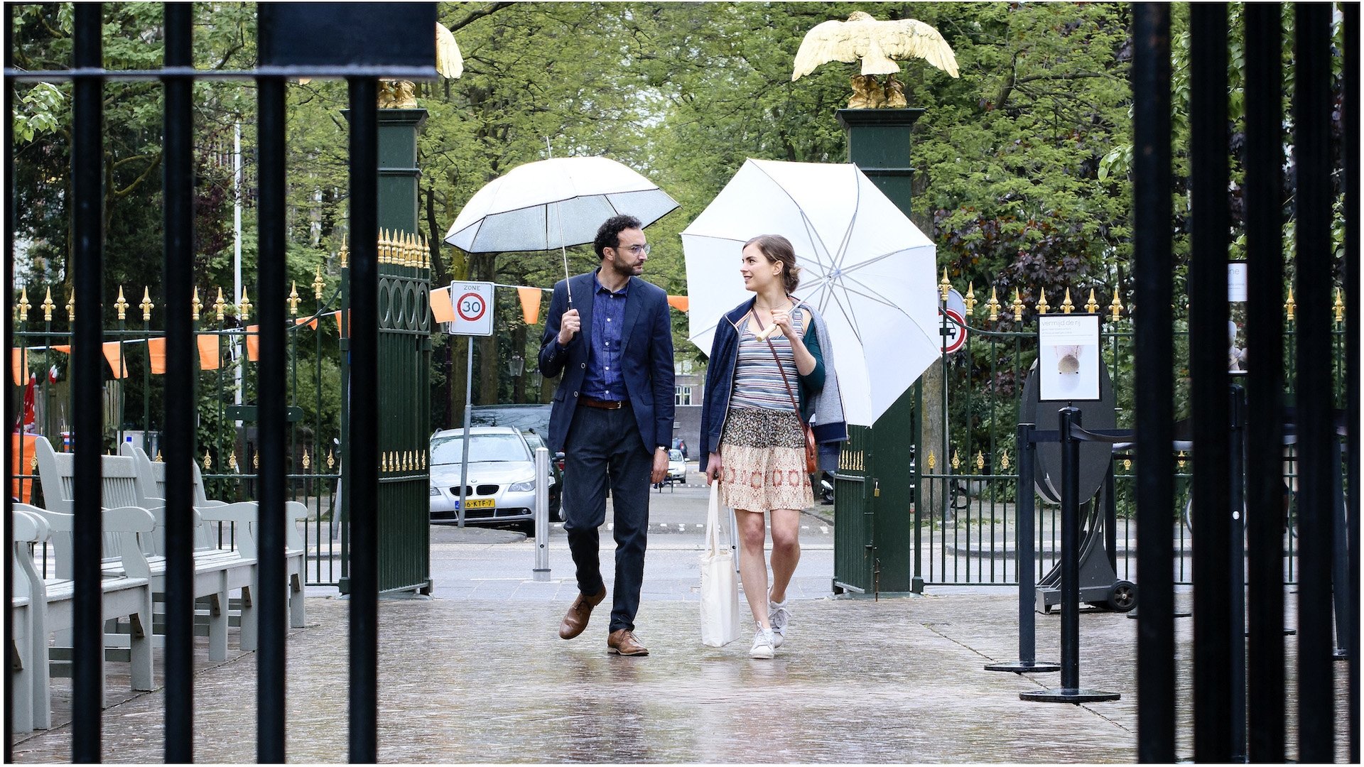 Backdrop for Orange Fever