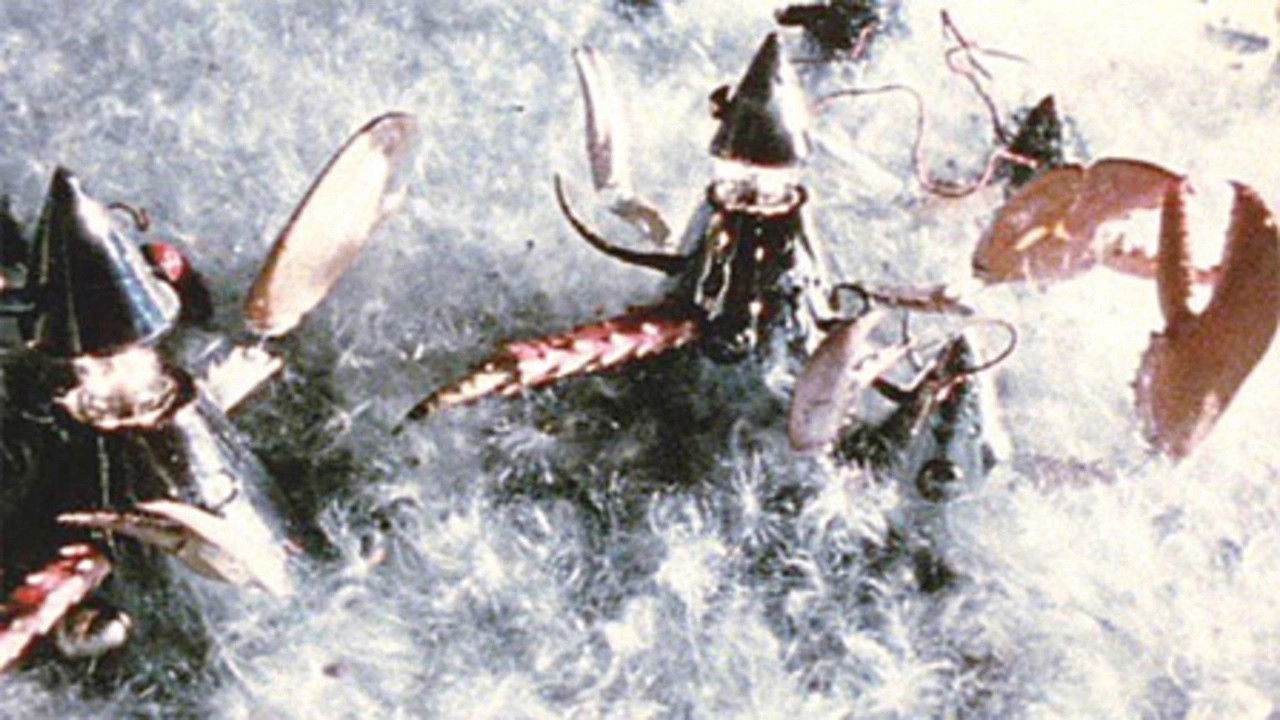 Backdrop for Babobilicons