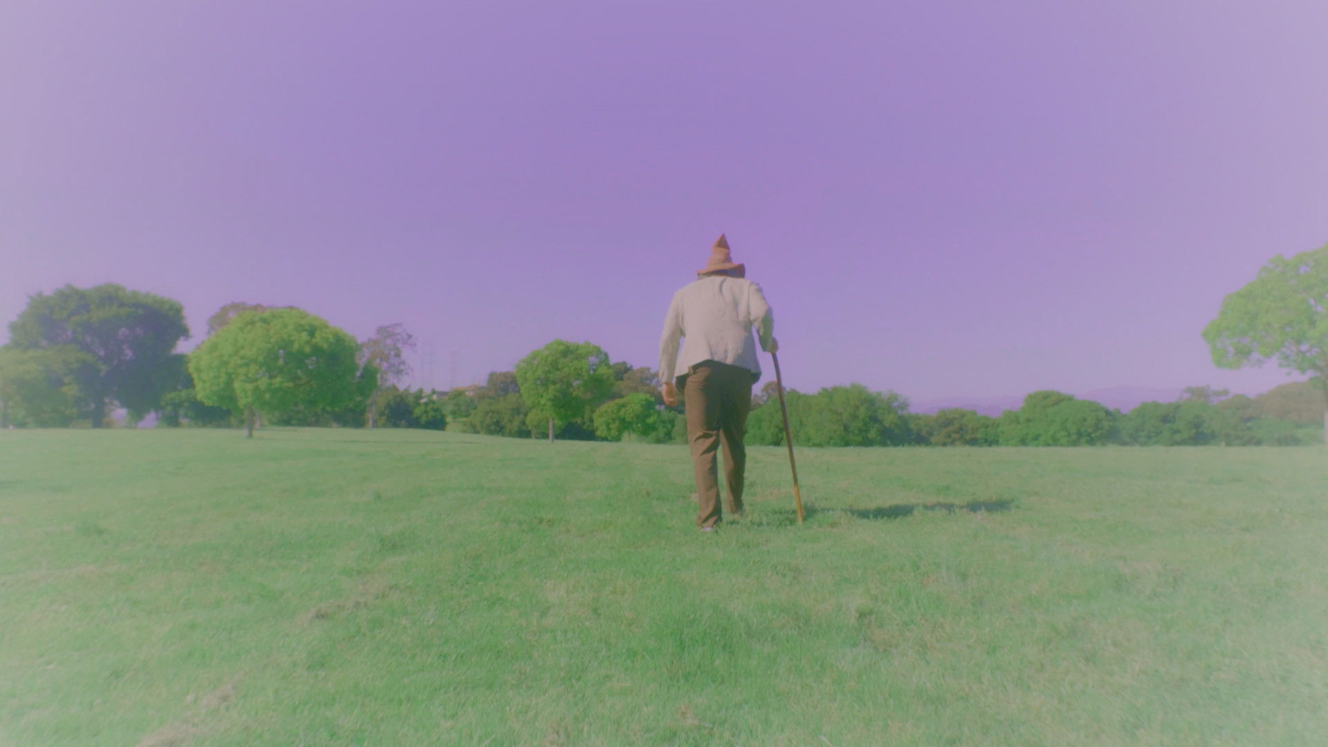 Backdrop for The Wizard and the Detective in the Search