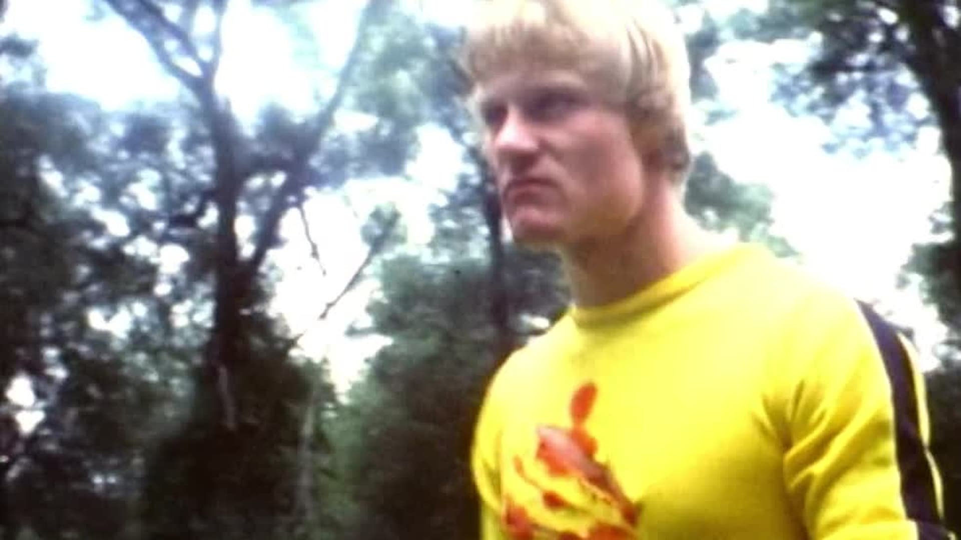 Backdrop for Blood and Steel