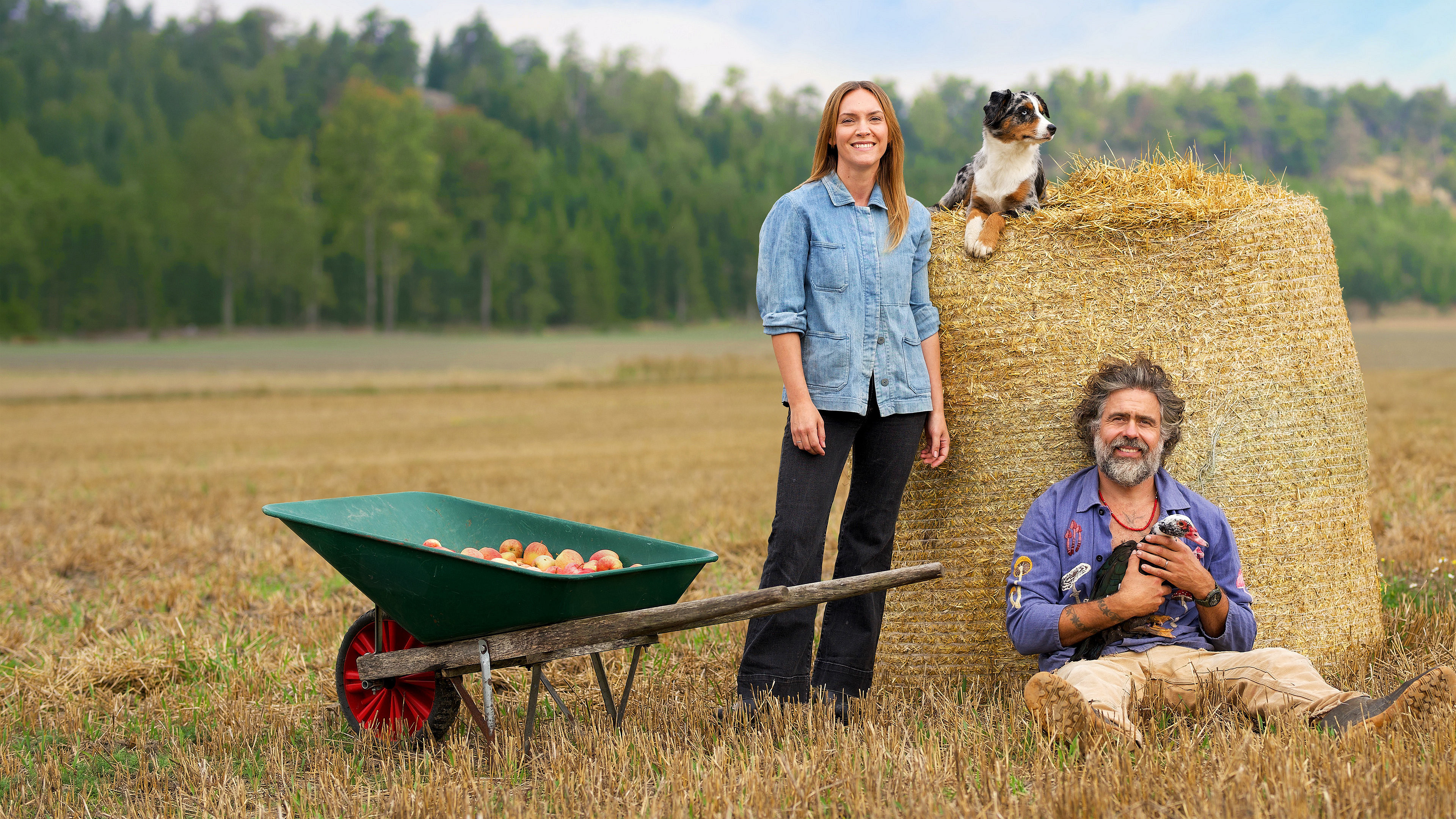 Backdrop for Hjälp, vi har köpt en bondgård!