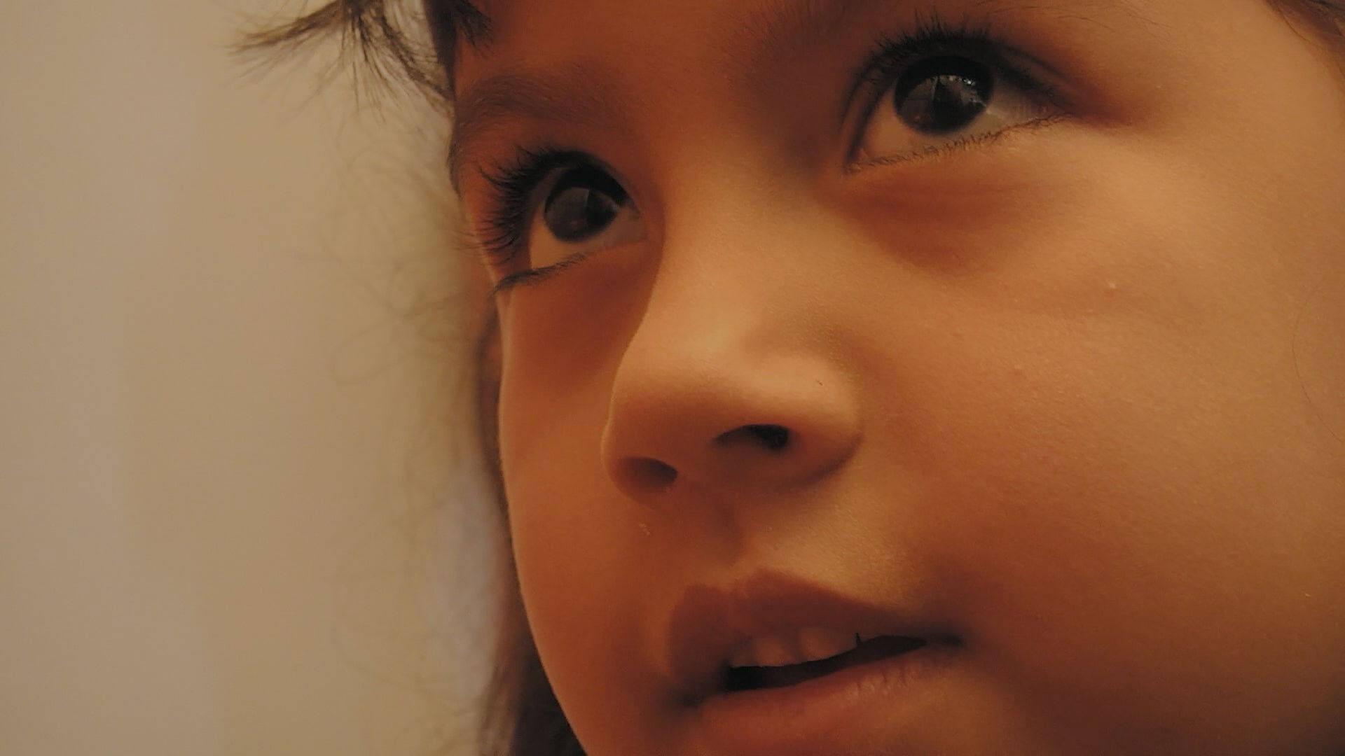 Backdrop for Solsticio