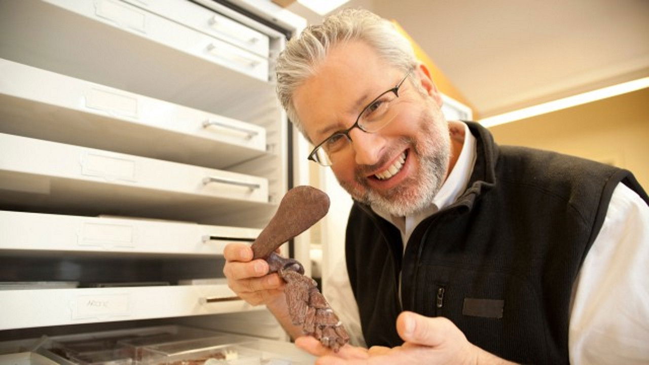 Backdrop for Your Inner Fish