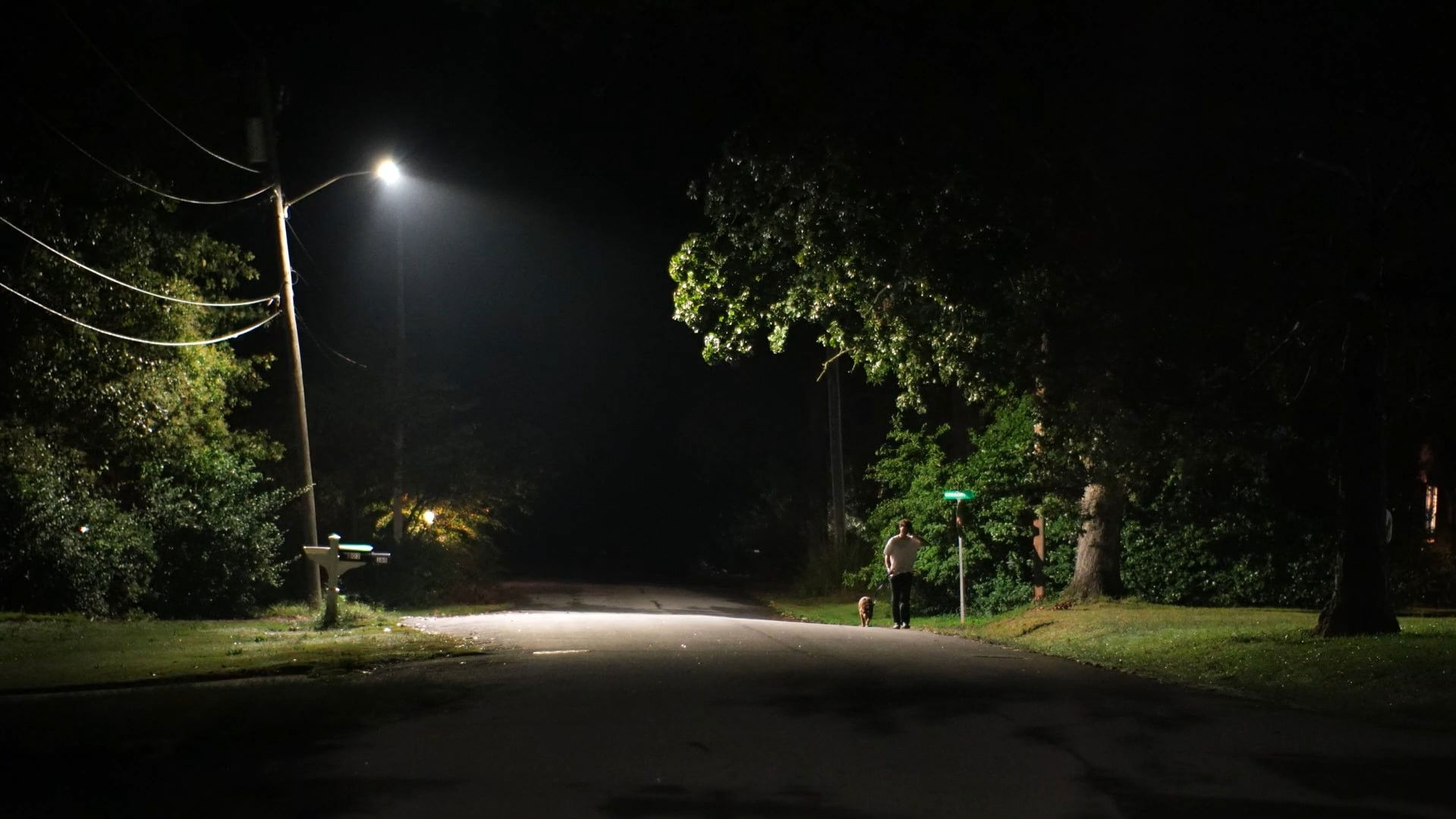 Backdrop for Night Walk