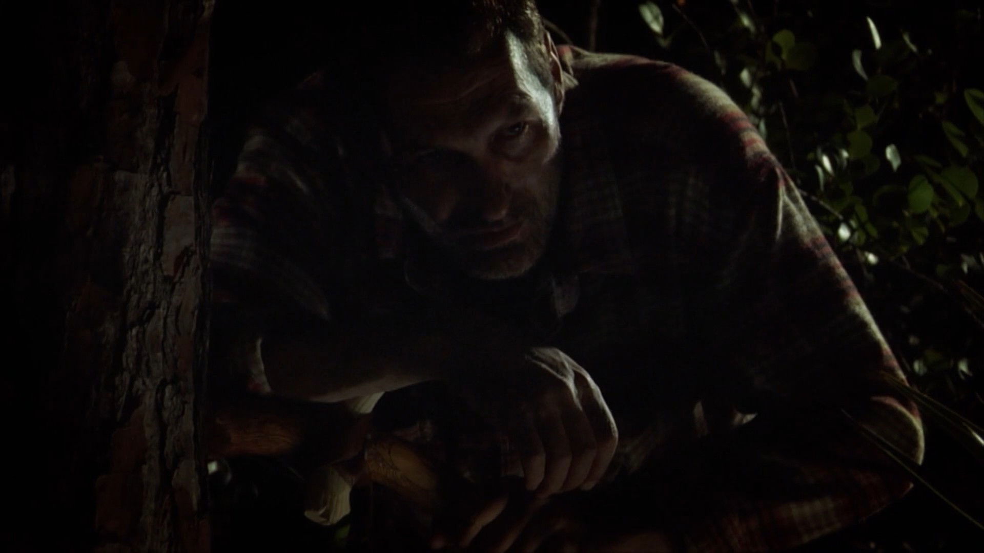 Backdrop for Hogzilla