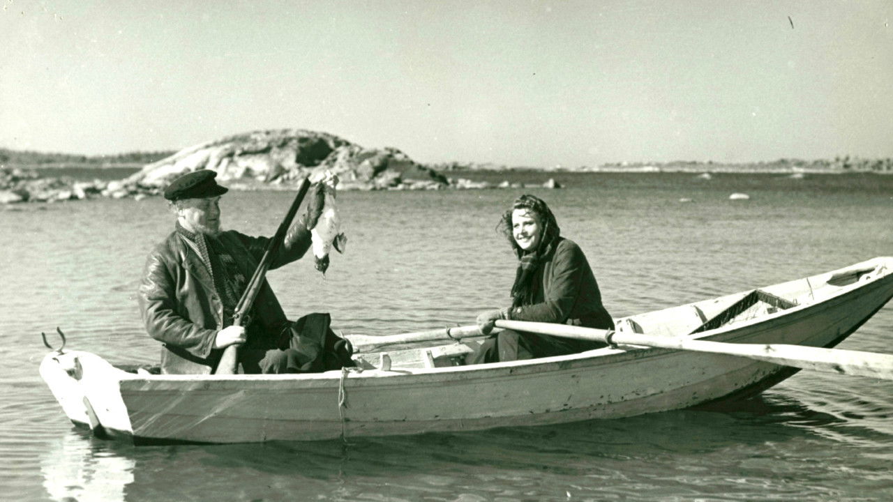 Backdrop for Rospiggar