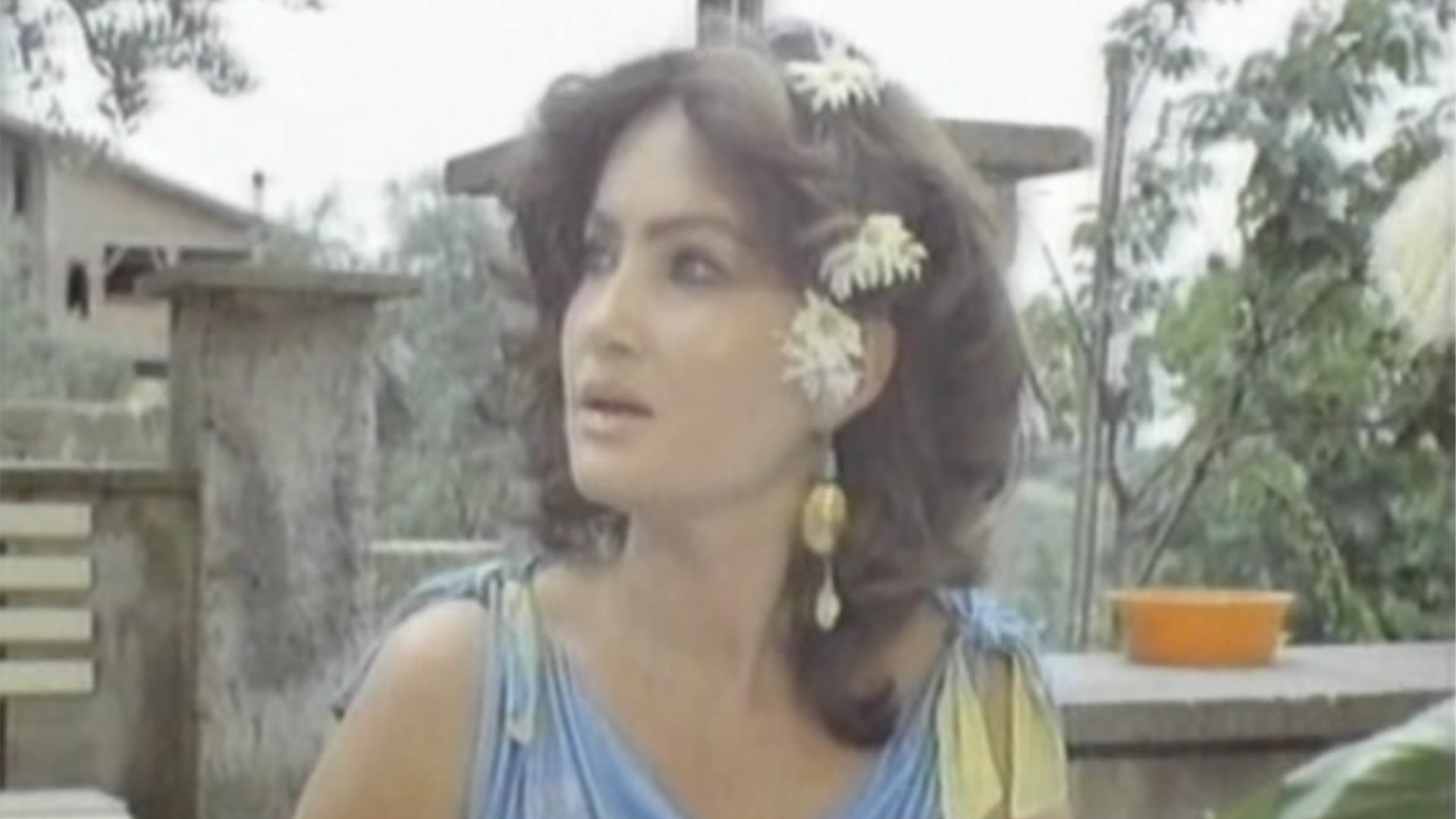 Backdrop for Naked Wild Erections