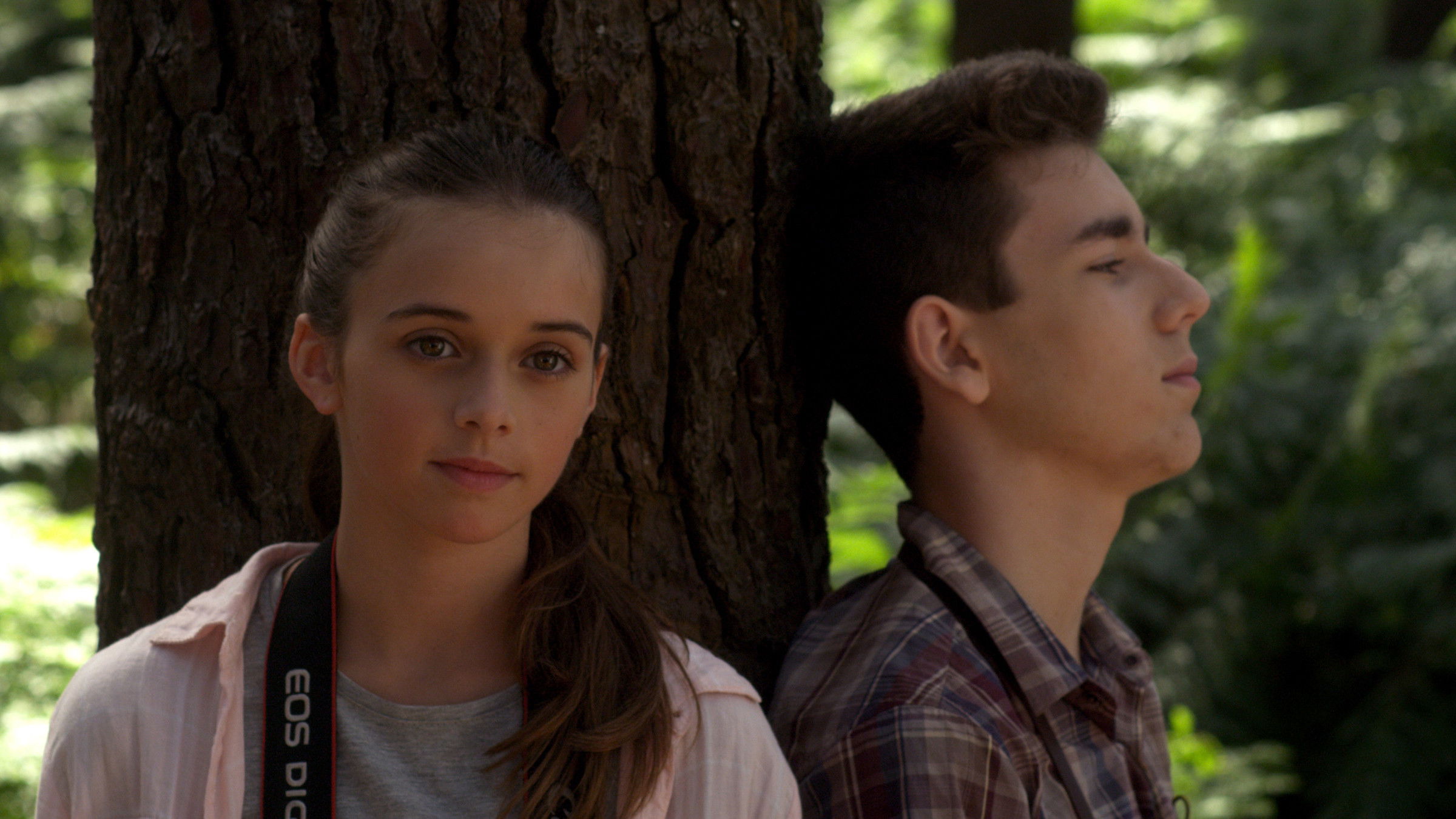 Backdrop for Newton's Third Law