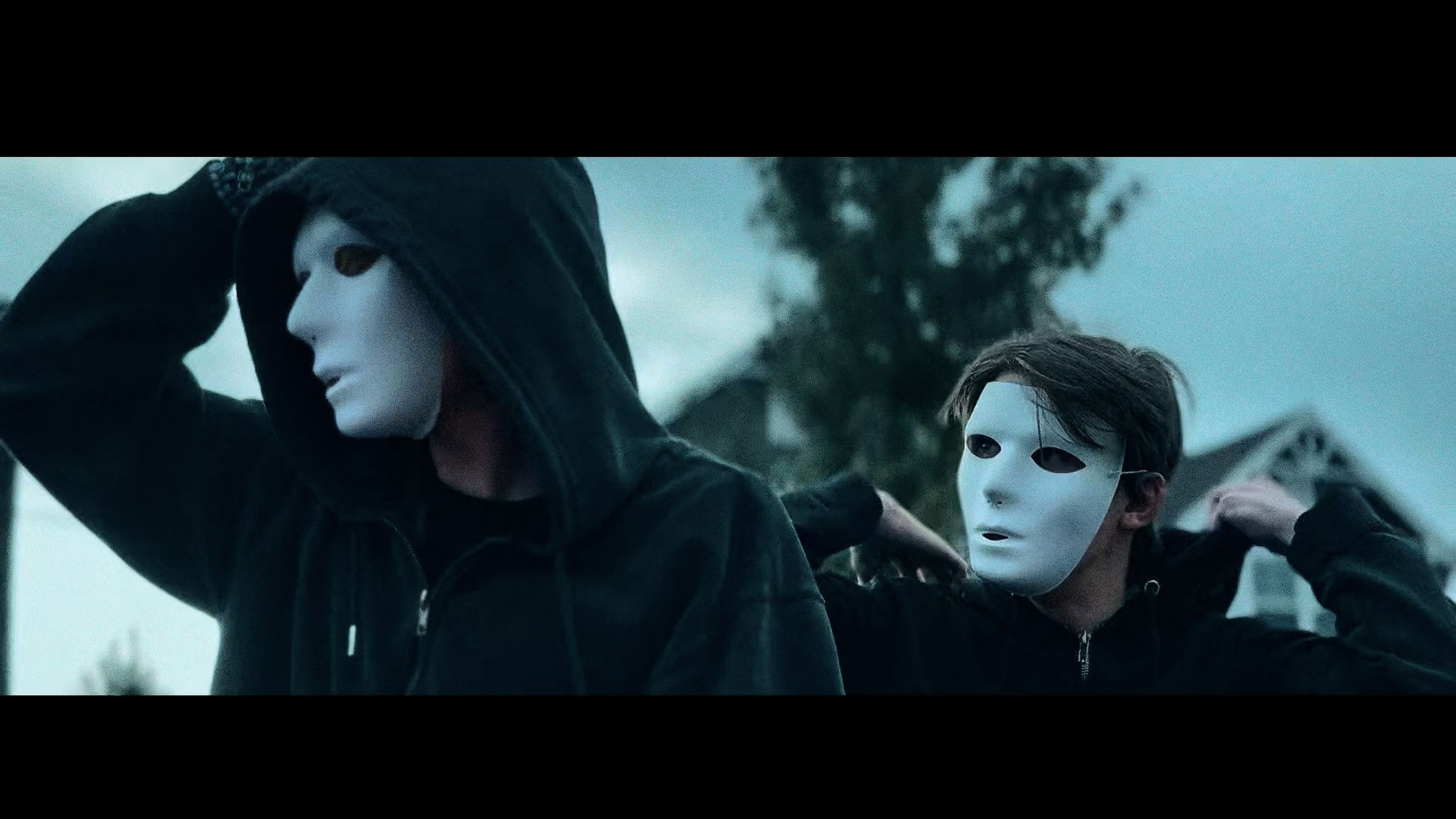 Backdrop for Vulture