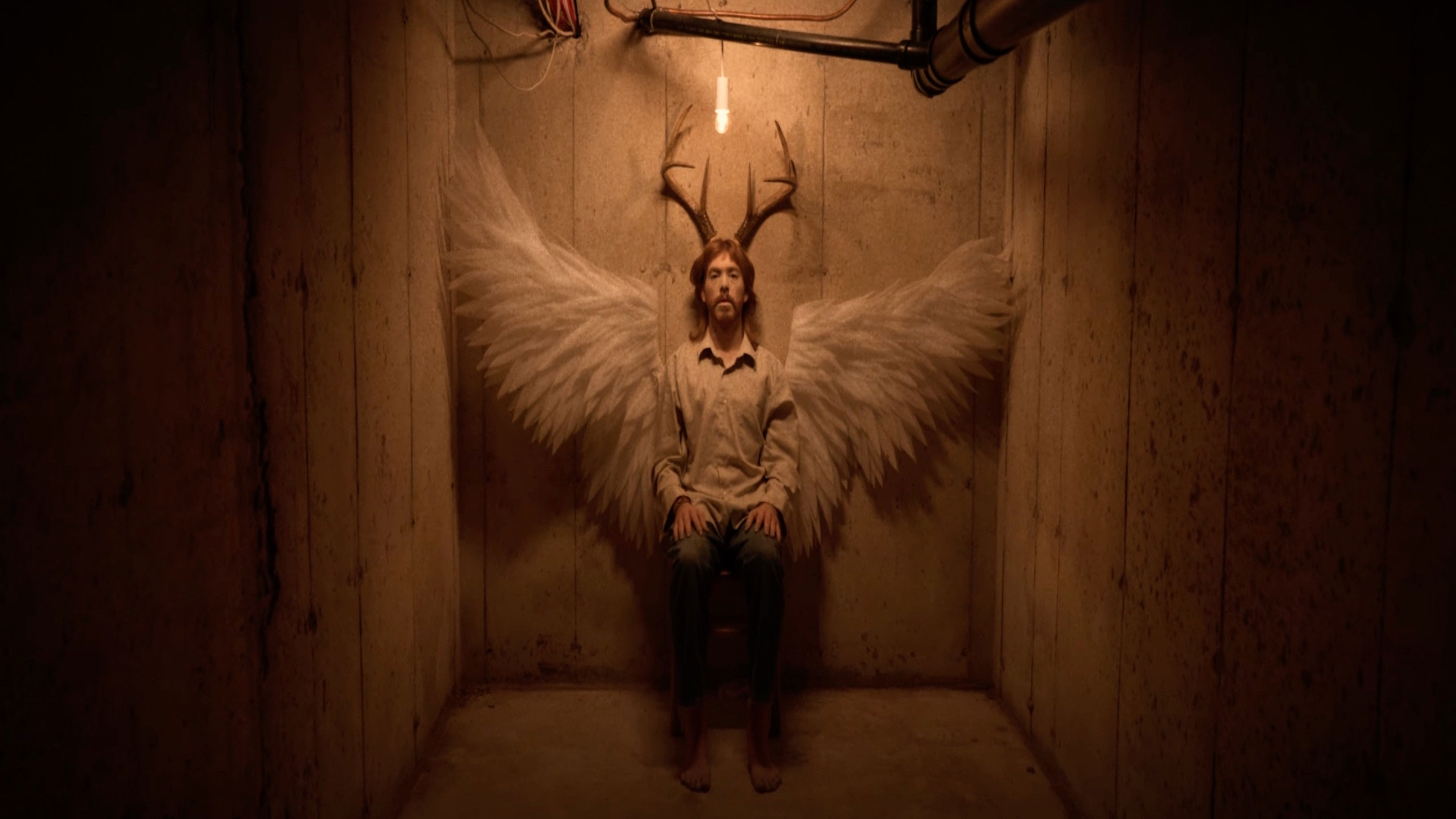 Backdrop for Cervidé