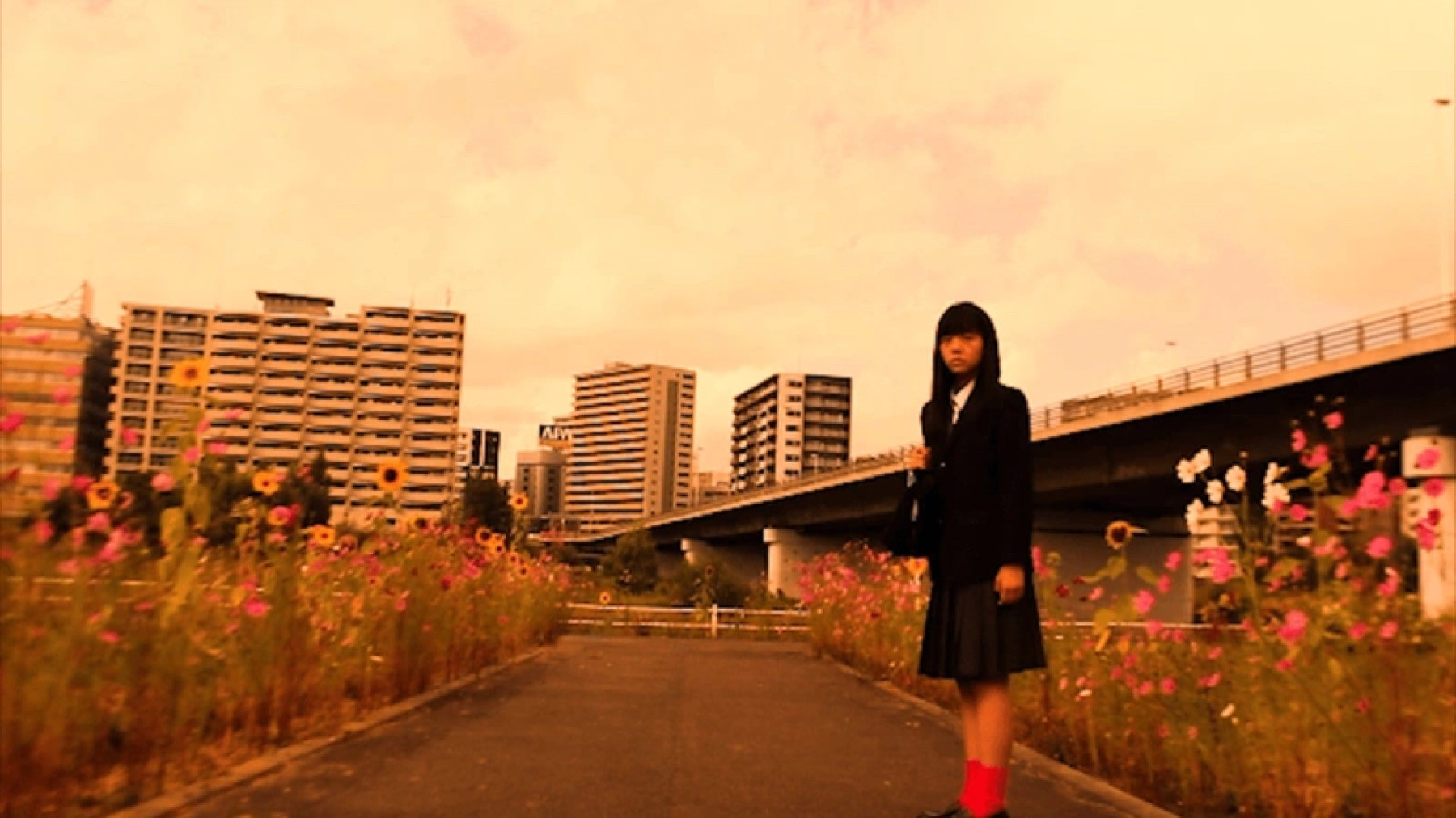 Backdrop for Wisdom Tooth