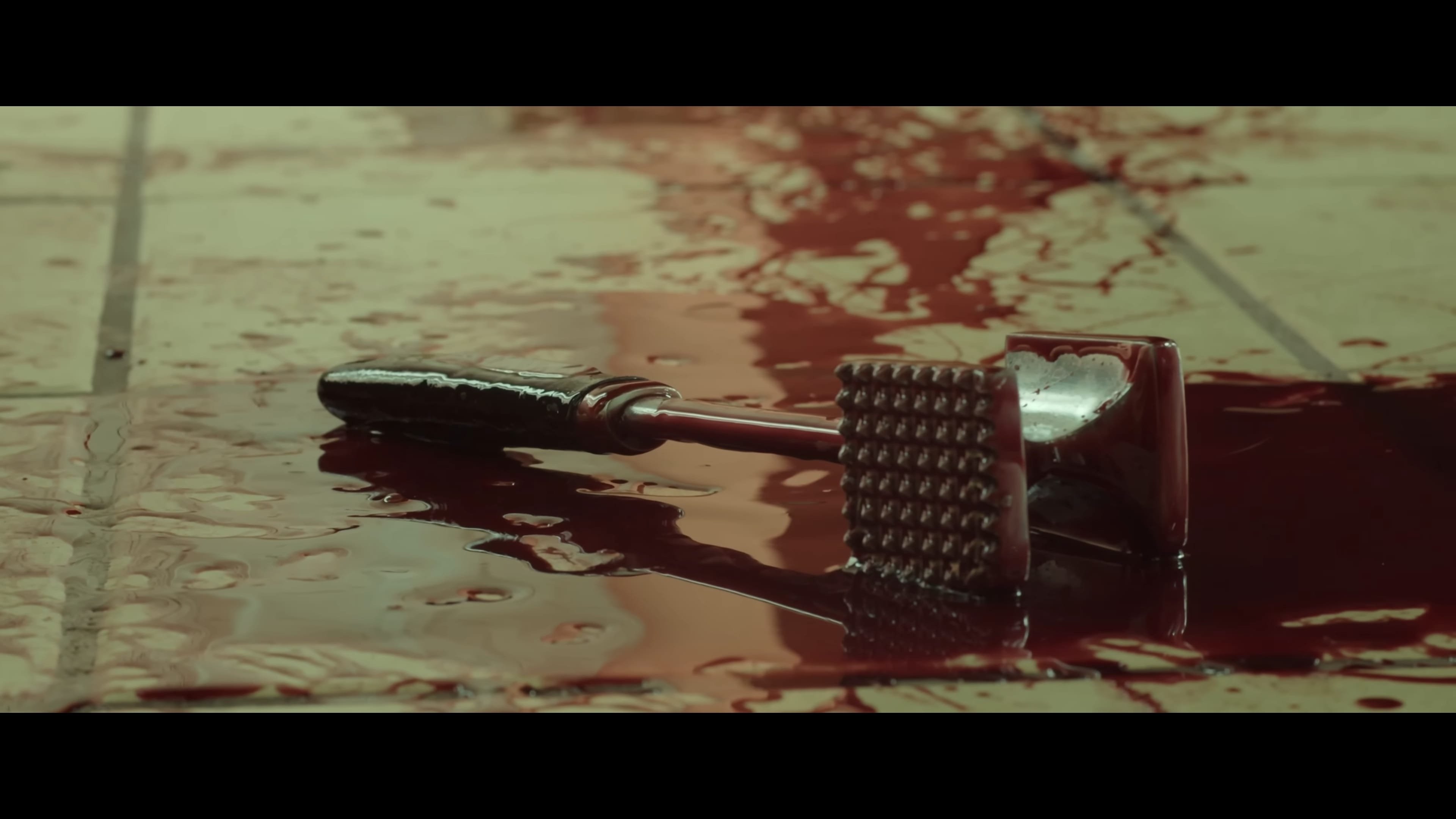 Backdrop for Rojo Guajillo