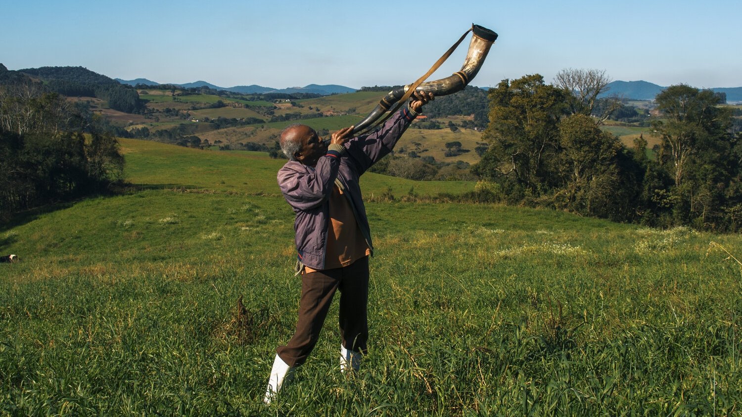 Backdrop for Memory House