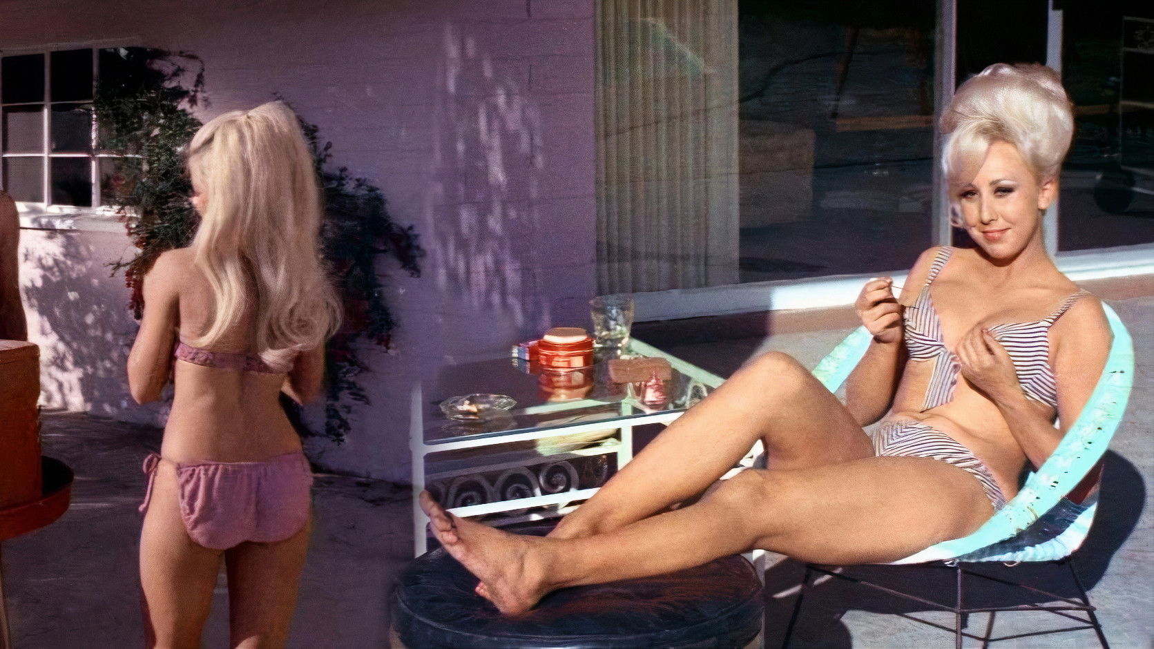 Backdrop for The Brick Dollhouse